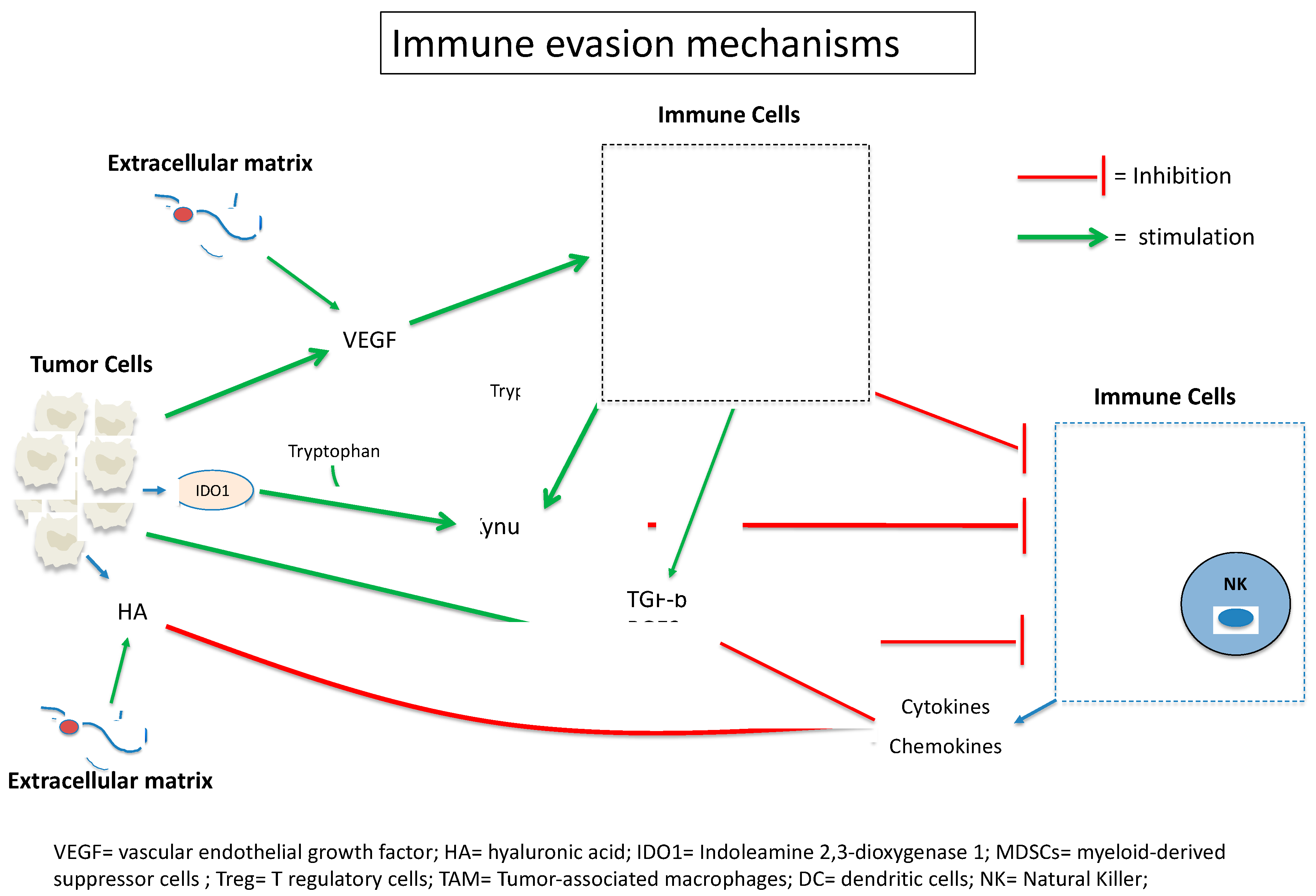 Cancers 14 01640 g004