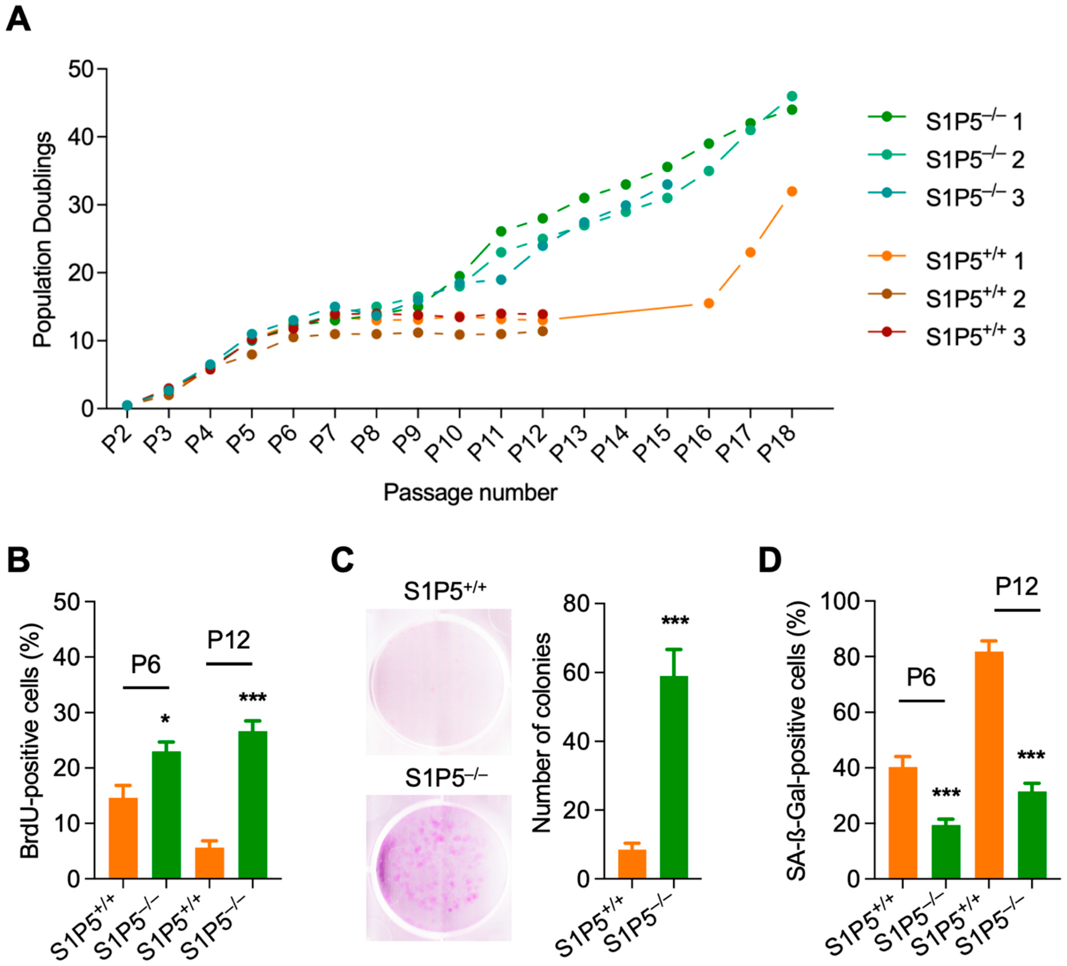 Cancers 14 01661 g001