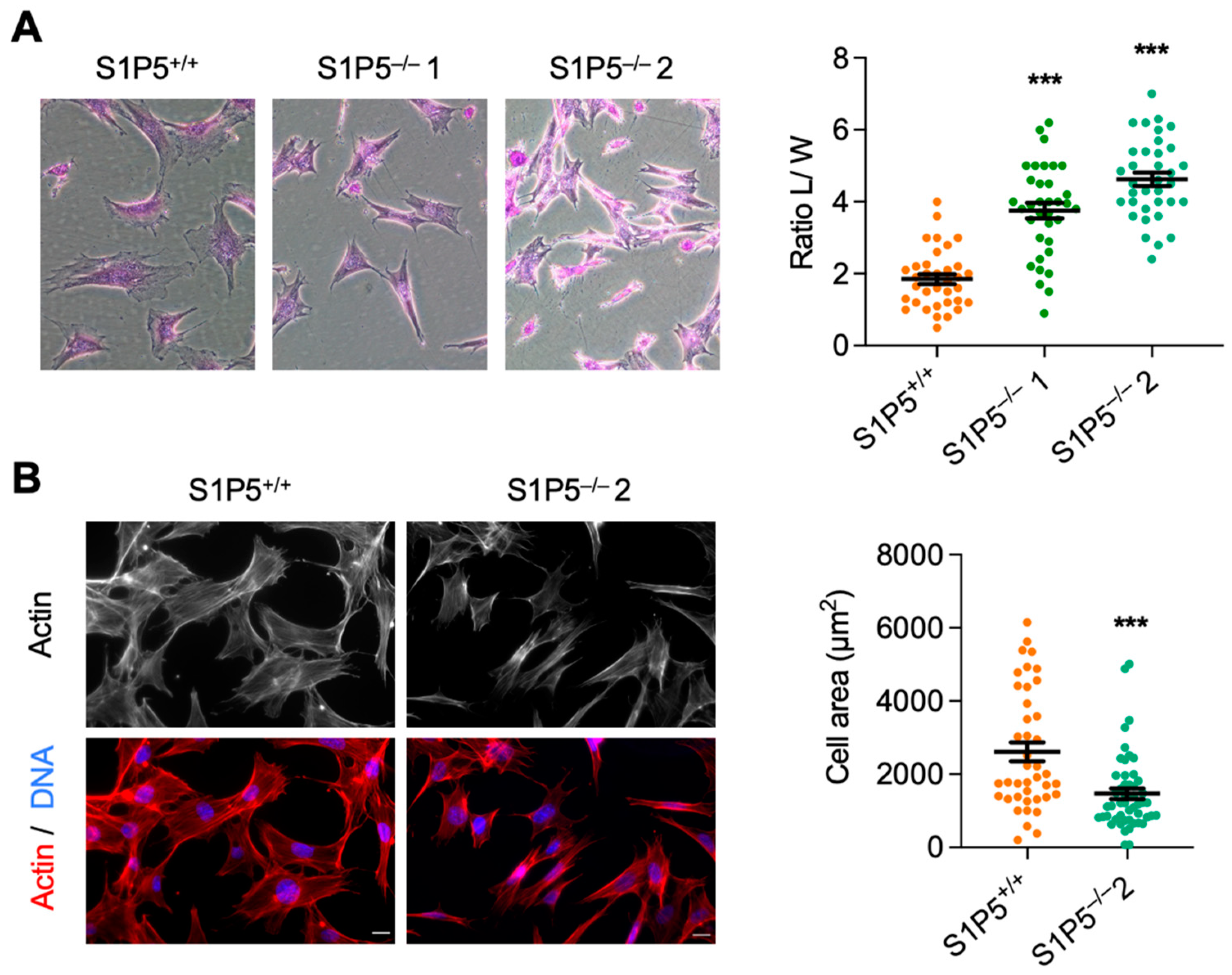 Cancers 14 01661 g002