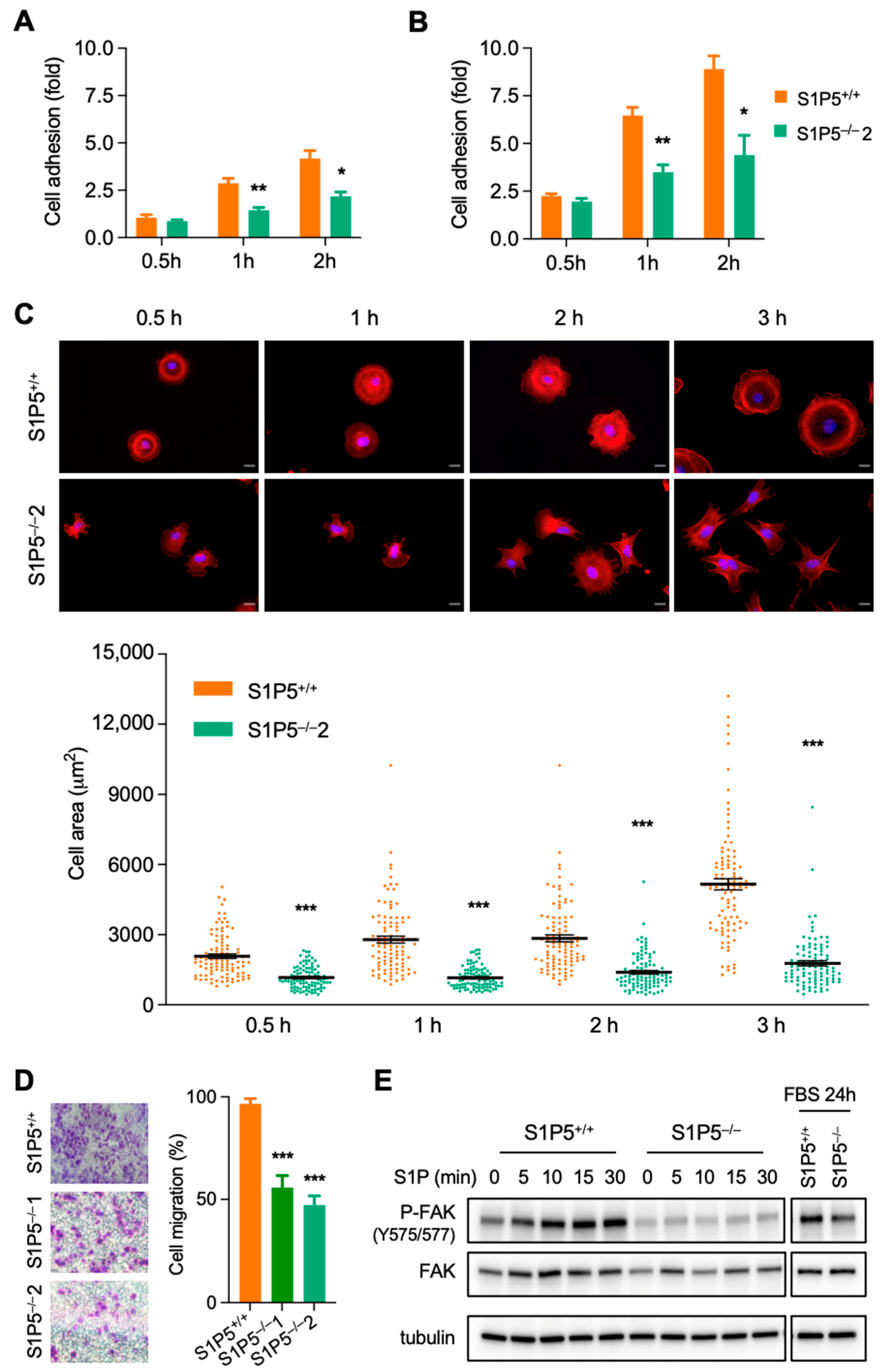 Cancers 14 01661 g003