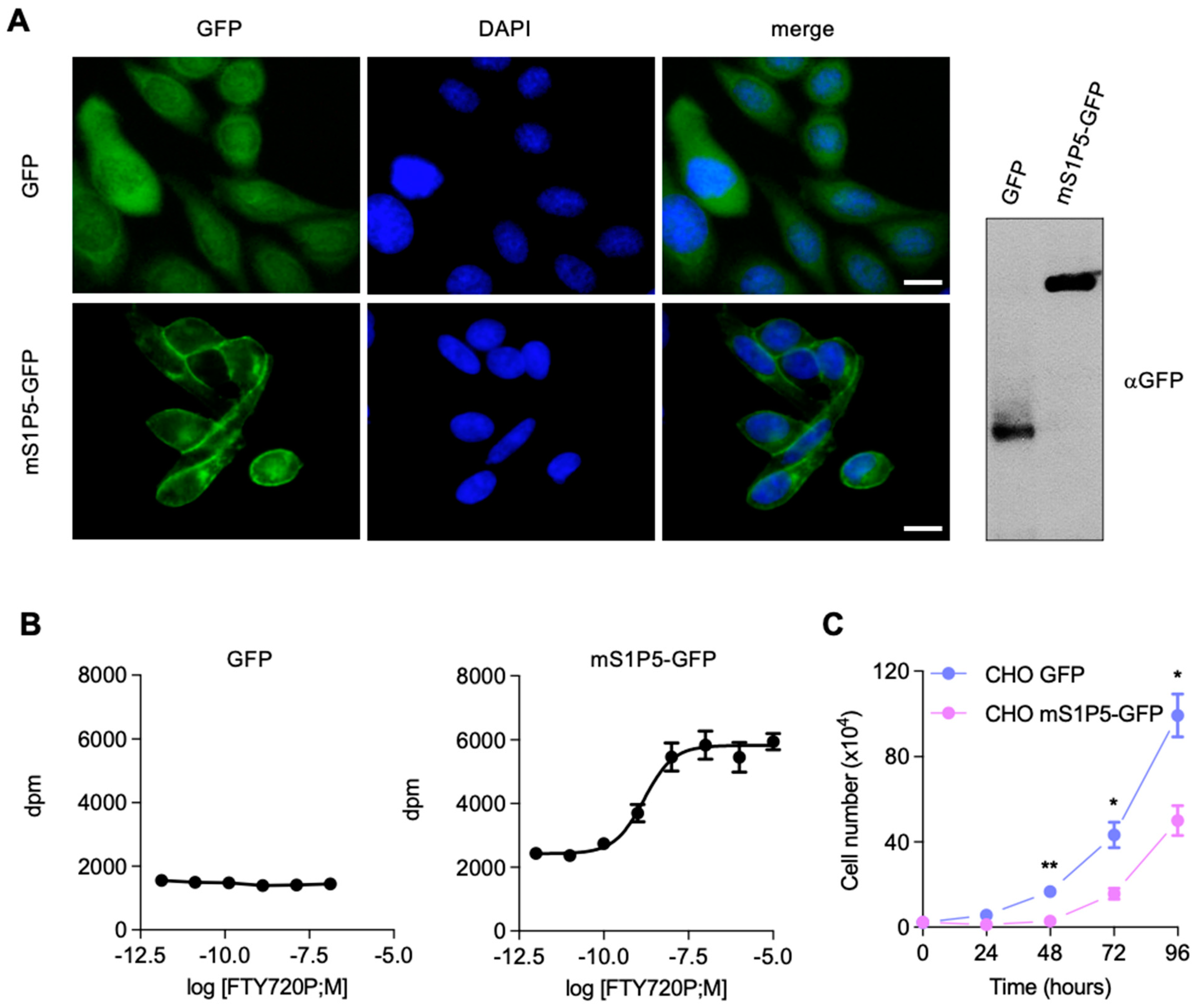 Cancers 14 01661 g005