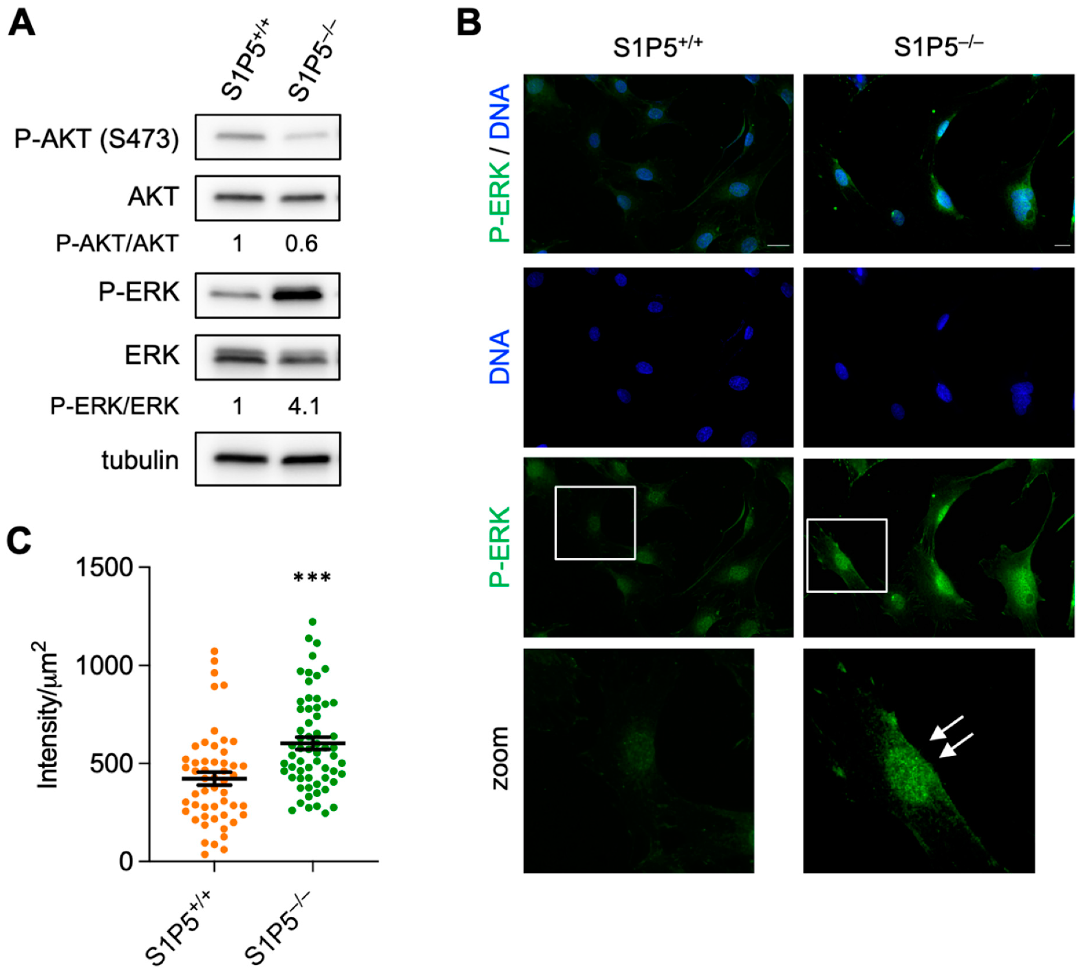Cancers 14 01661 g008
