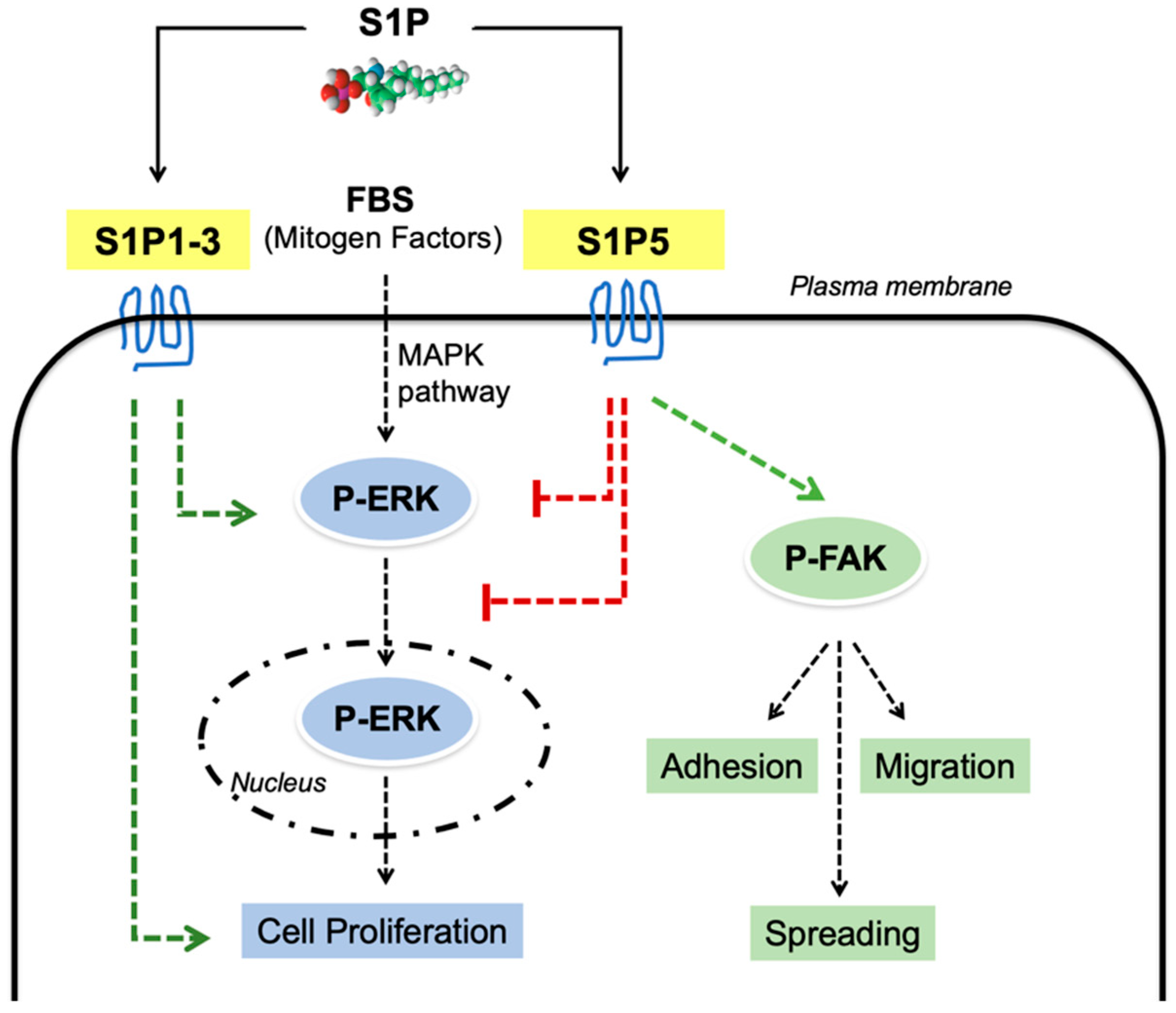 Cancers 14 01661 g009