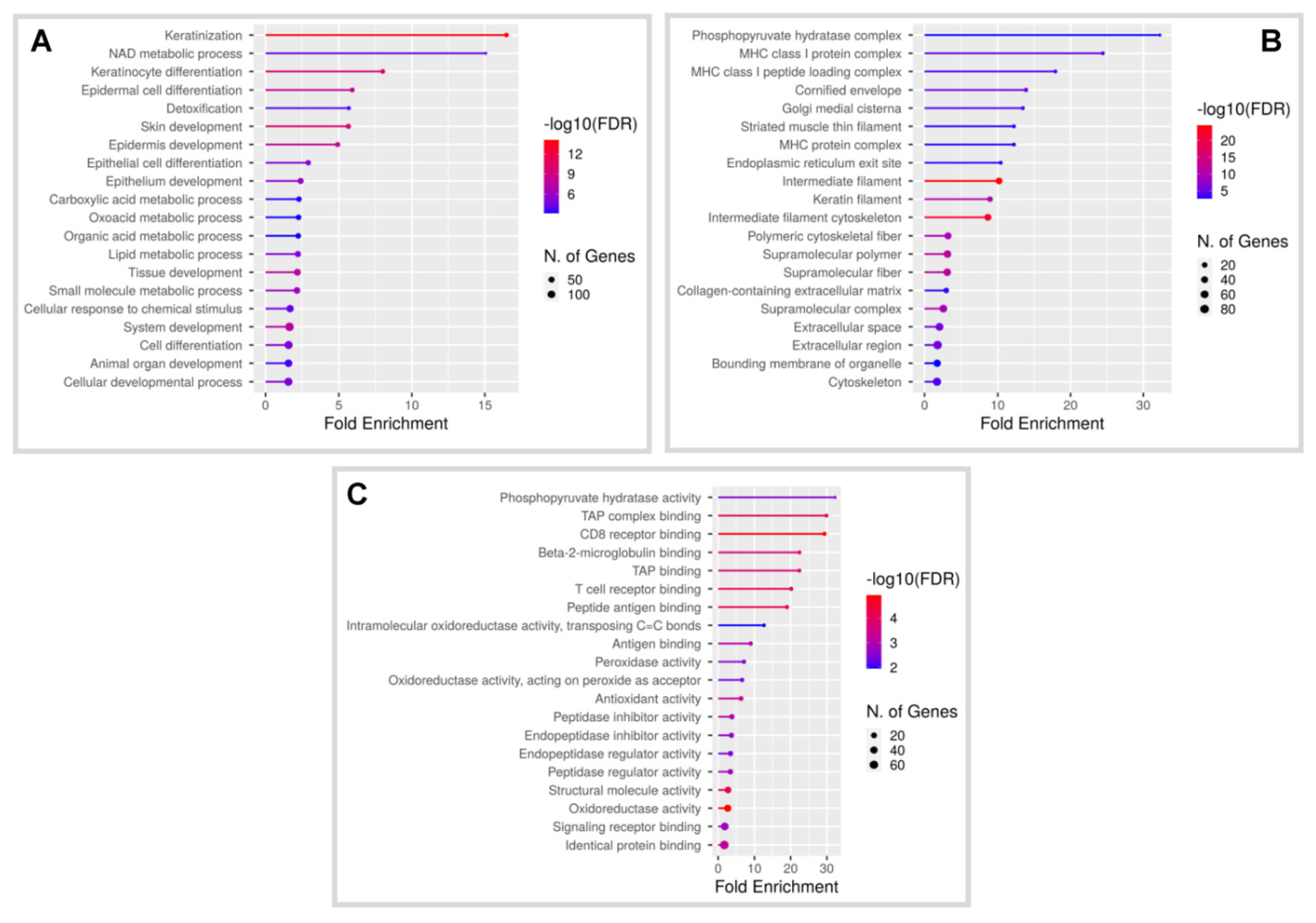 Cancers 14 01662 g001