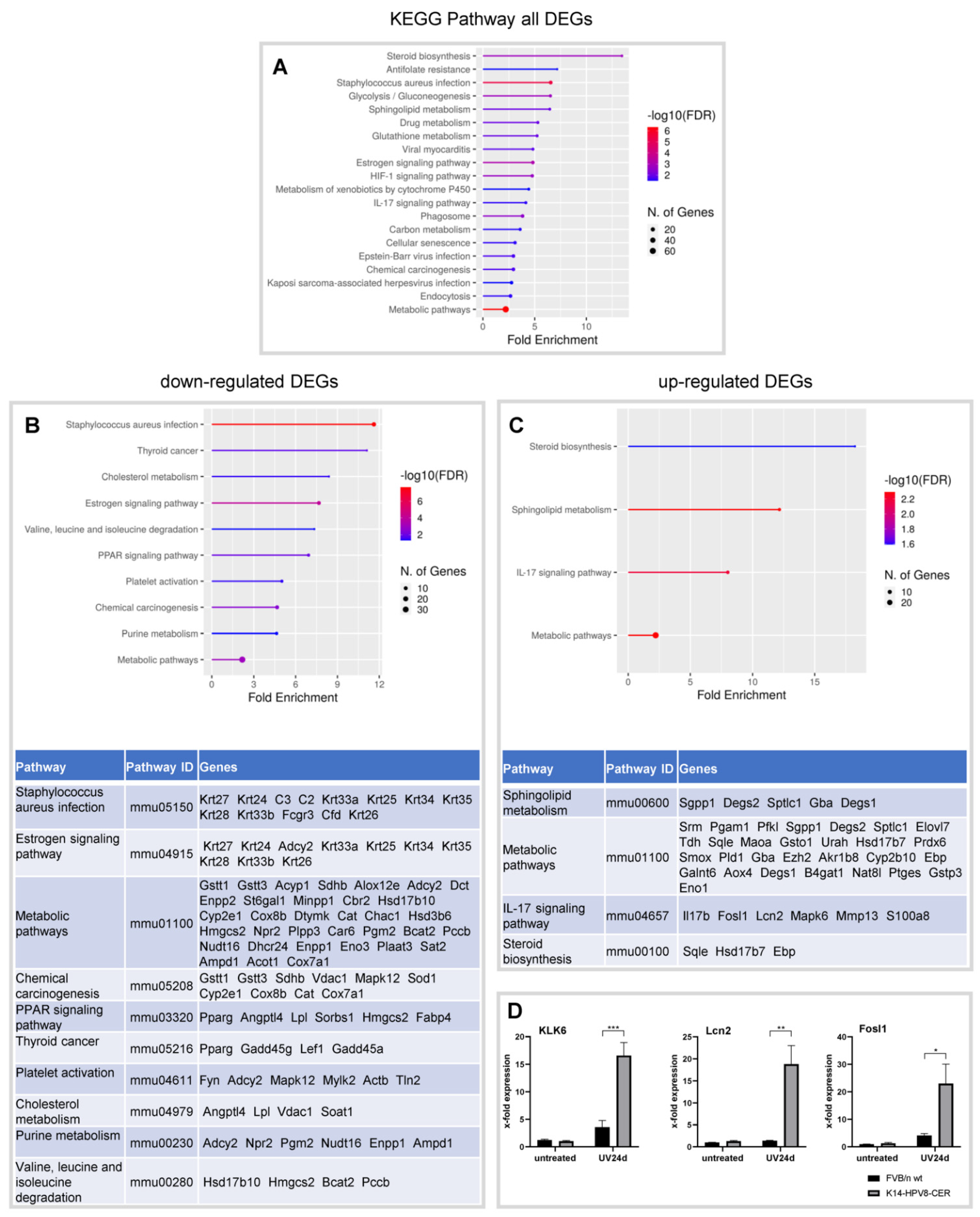 Cancers 14 01662 g002