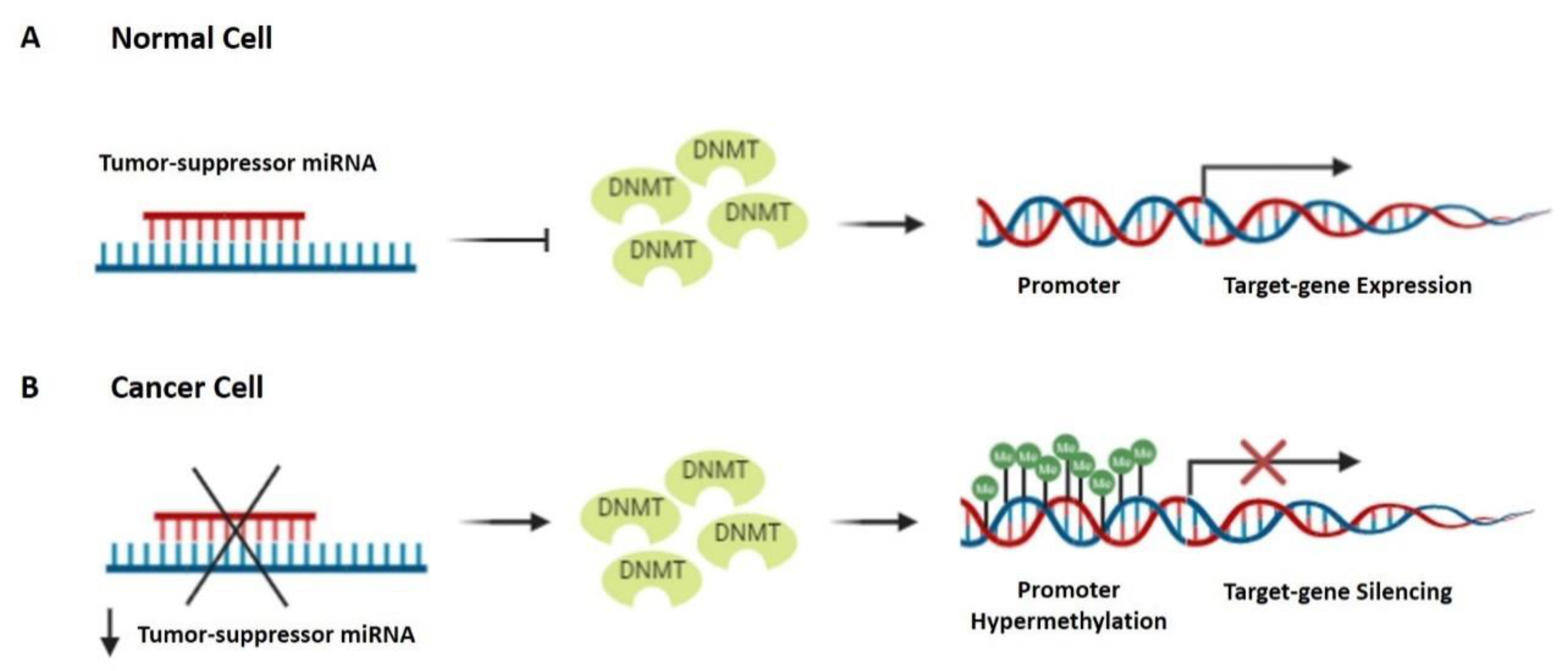 Cancers 14 01716 g002 Cancers 14 01716 g002