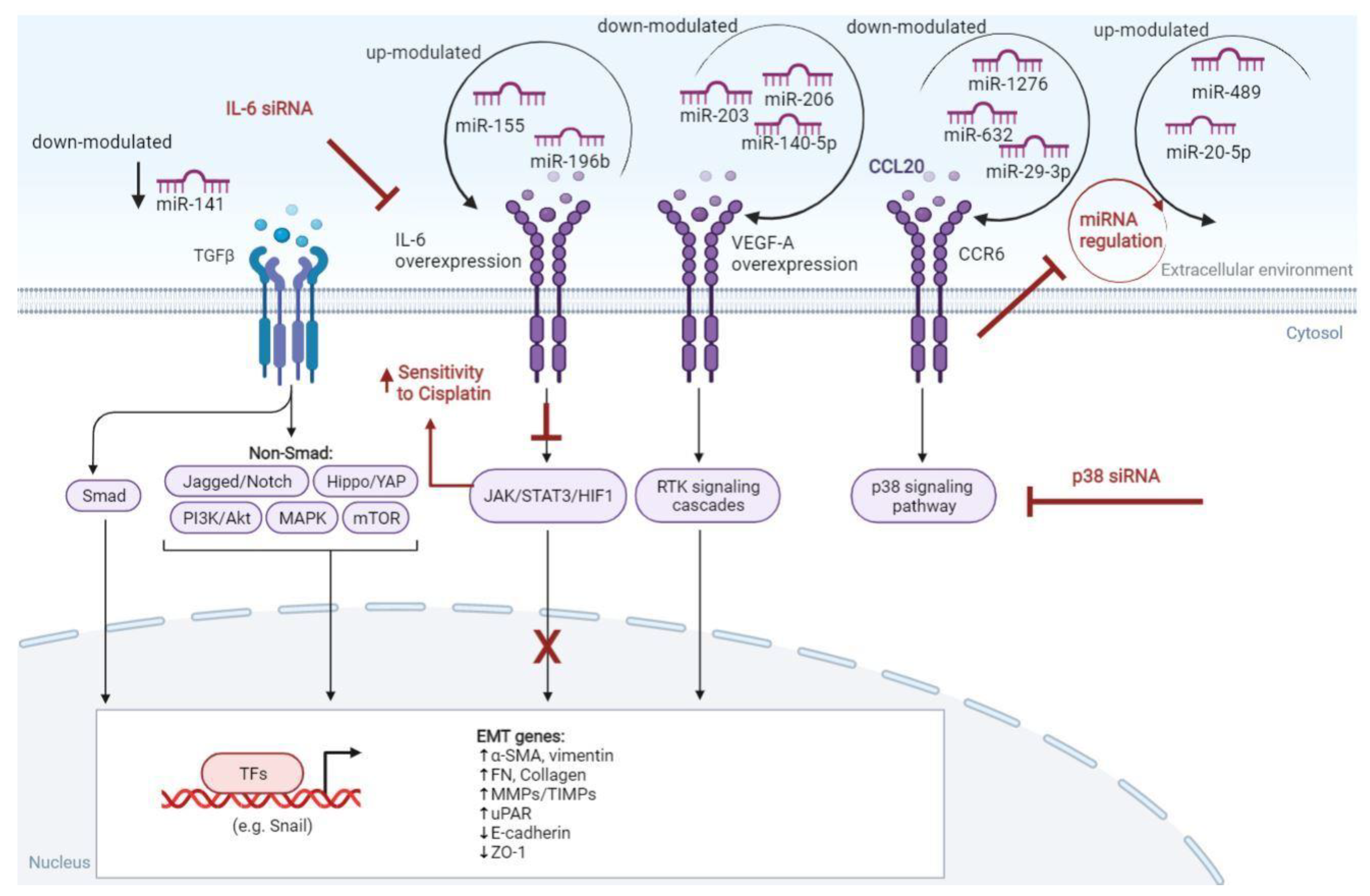 Cancers 14 01716 g003 Cancers 14 01716 g003