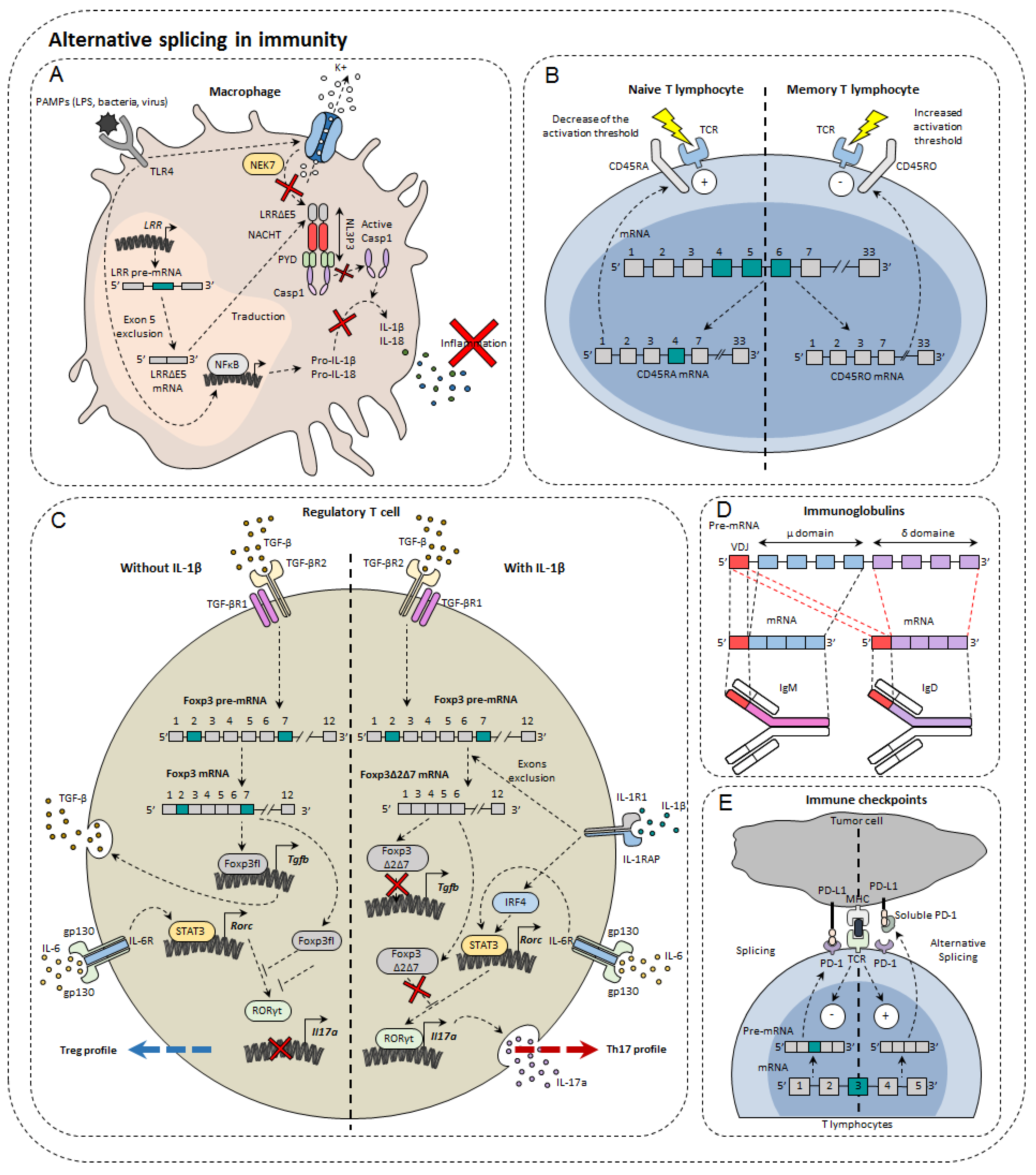 Cancers 14 01726 g002