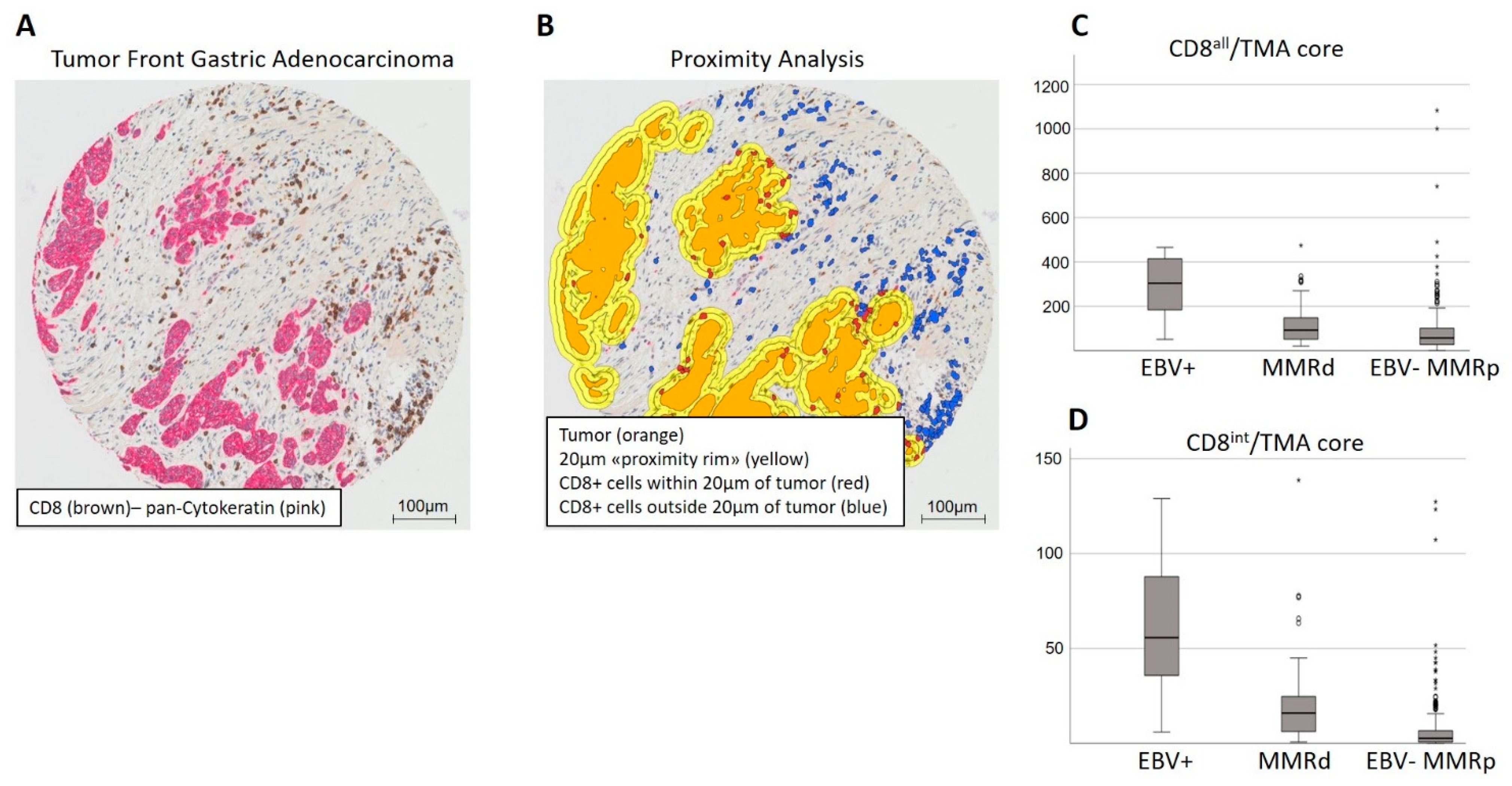Cancers 14 01736 g001