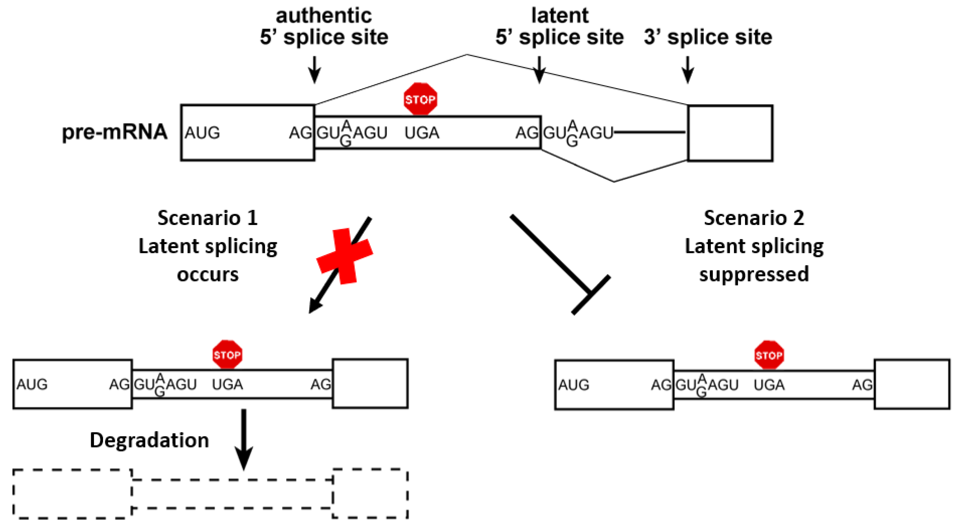 Cancers 14 01750 g001