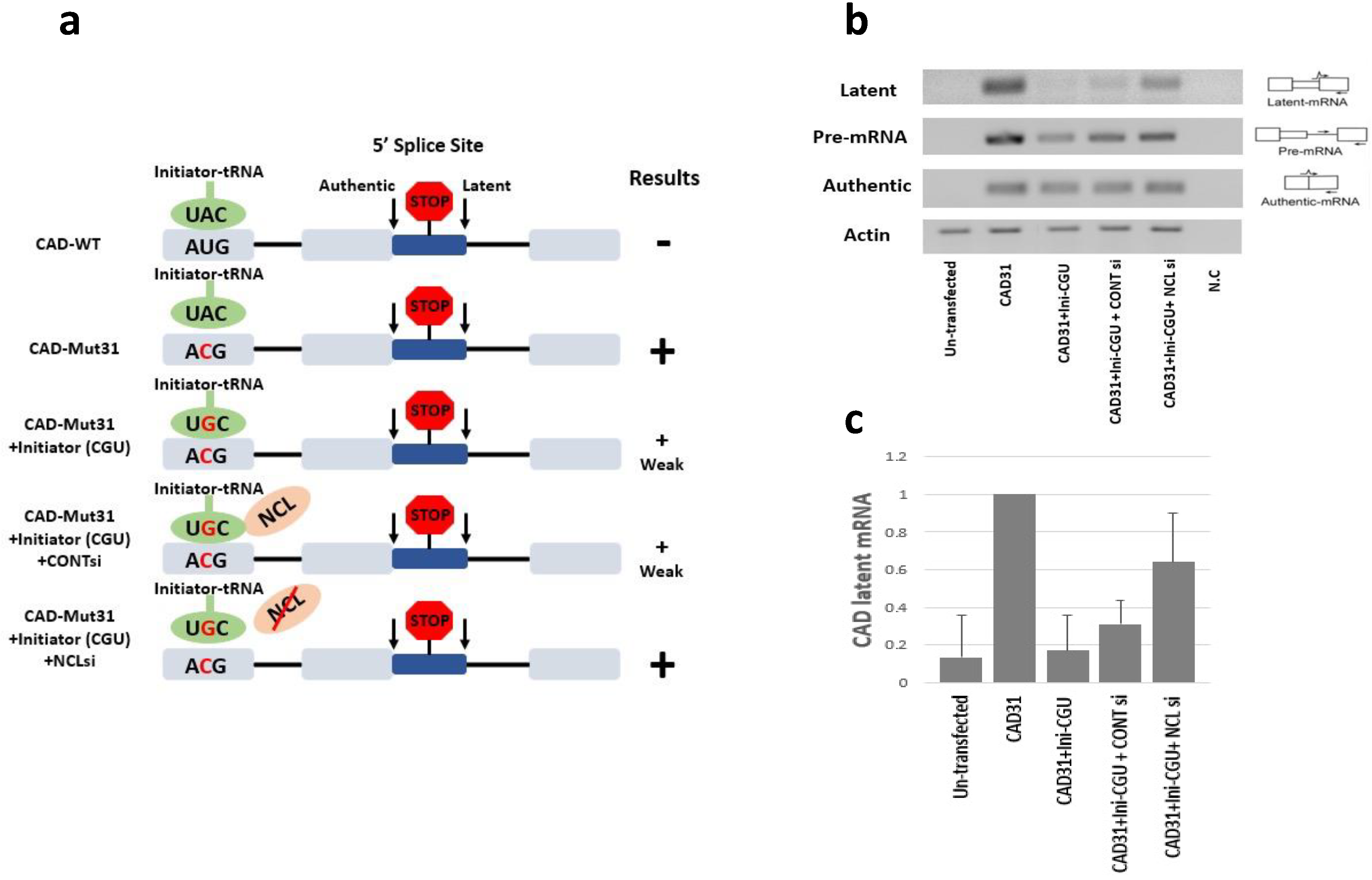 Cancers 14 01750 g002