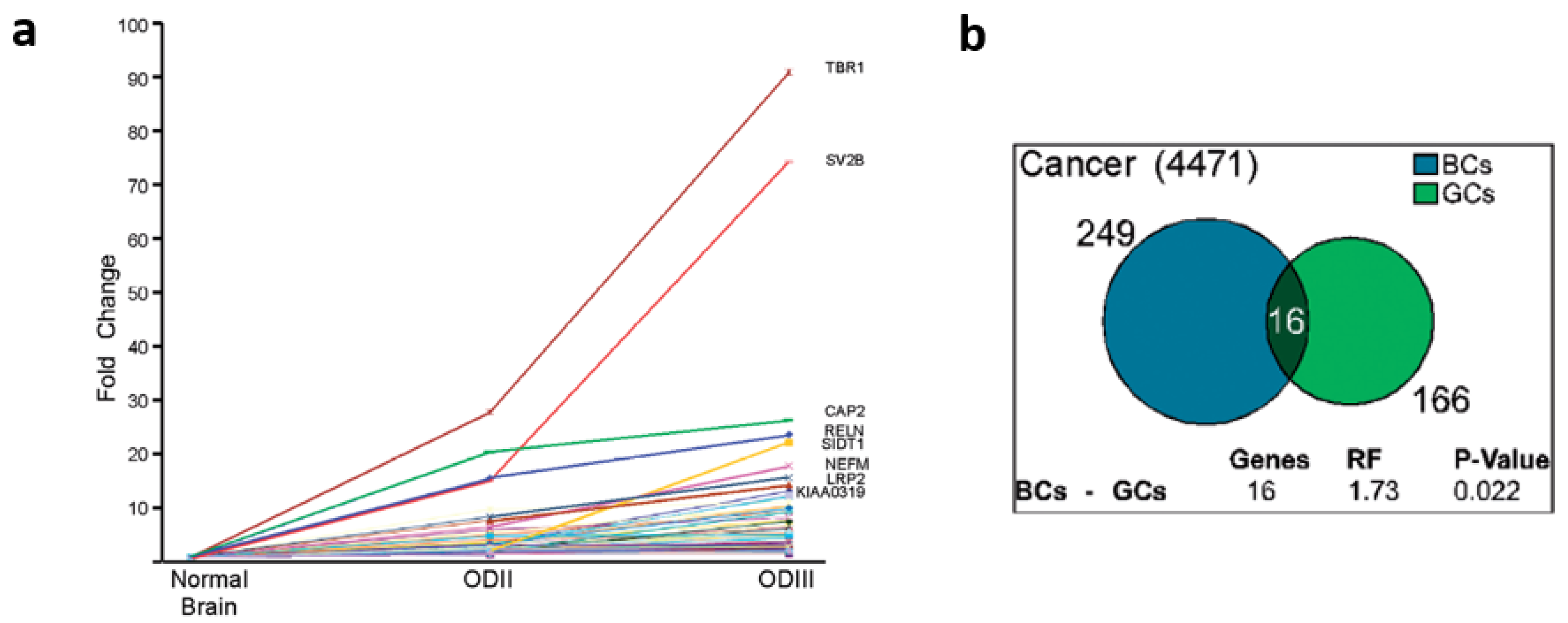 Cancers 14 01750 g004