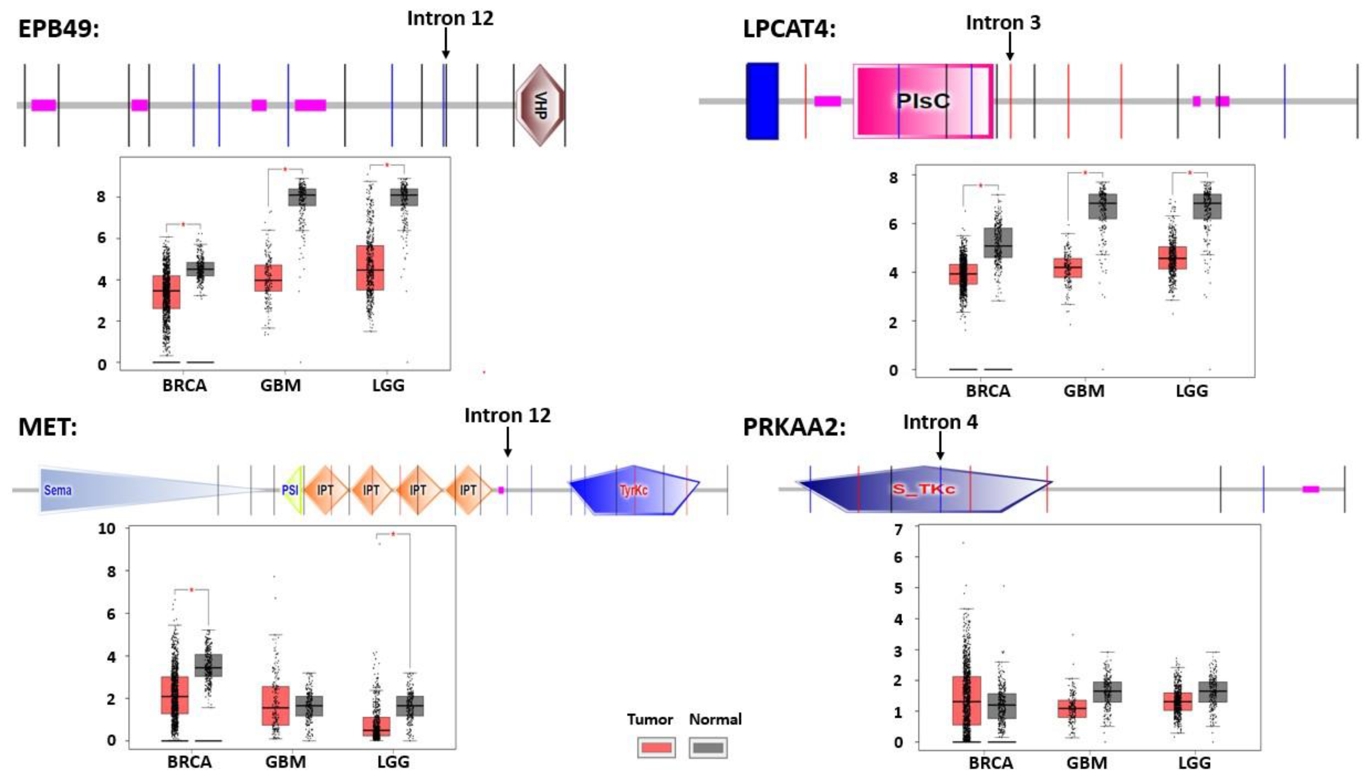 Cancers 14 01750 g005