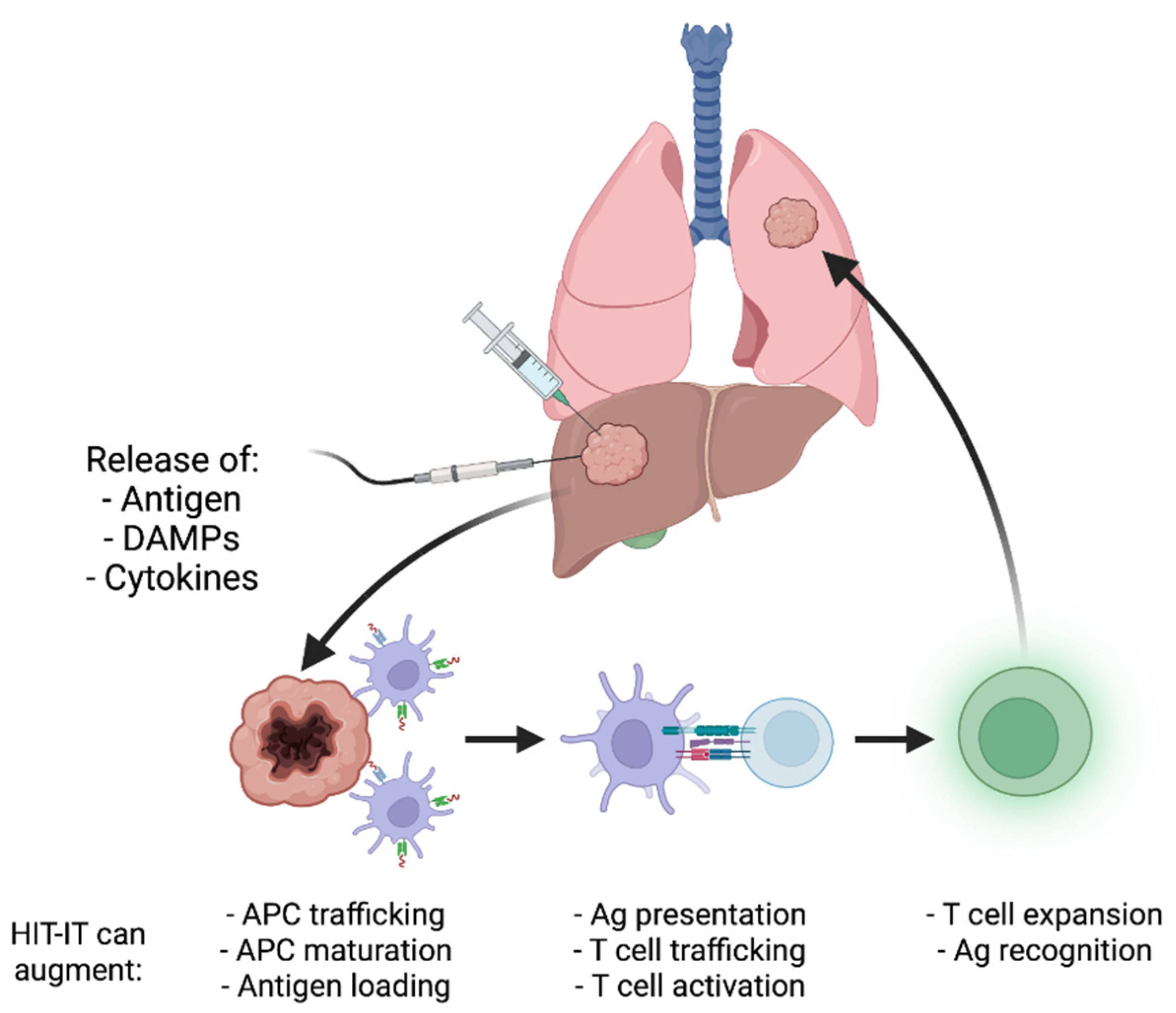 Cancers 14 01754 g001 Cancers 14 01754 g001