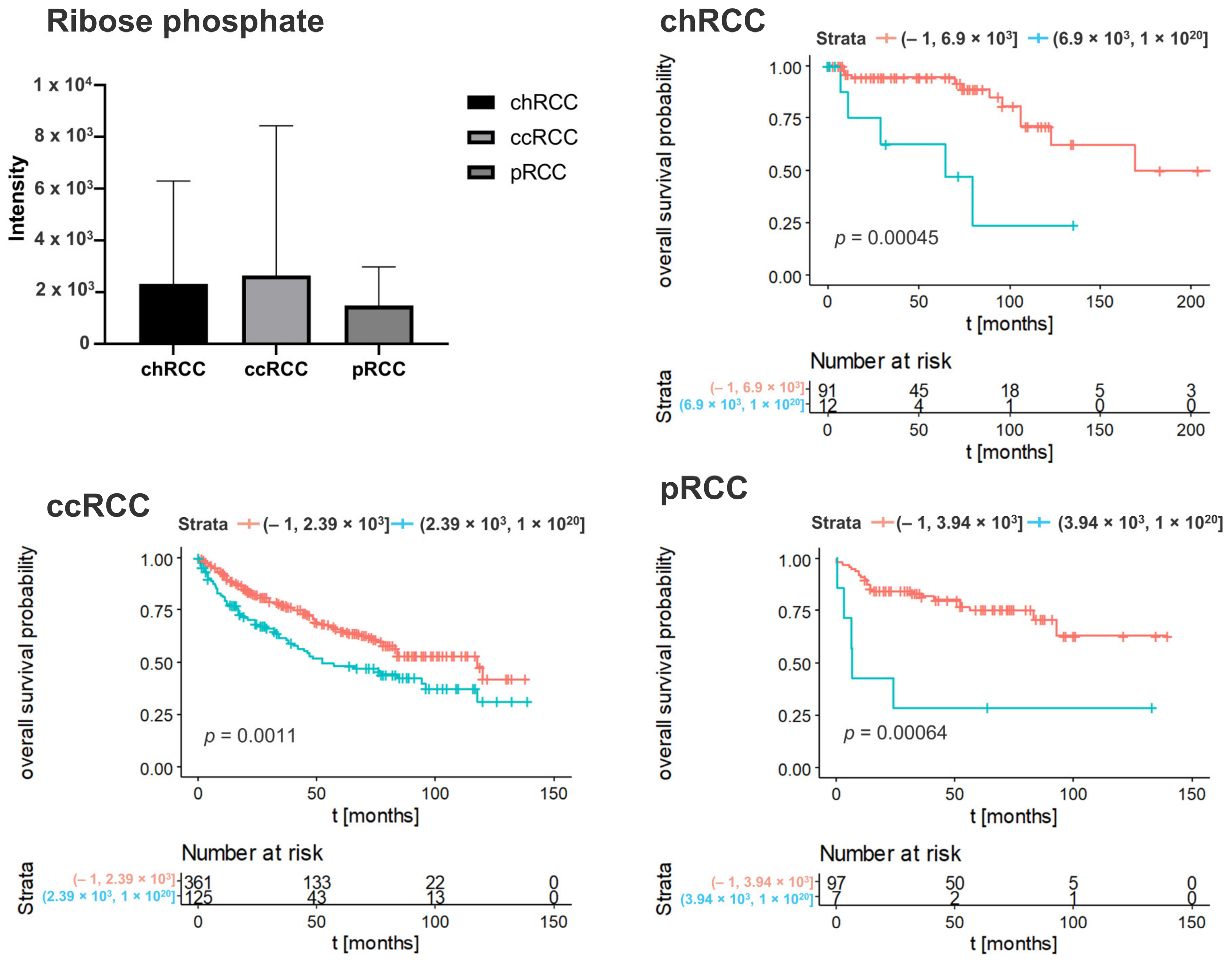 Cancers 14 01763 g004