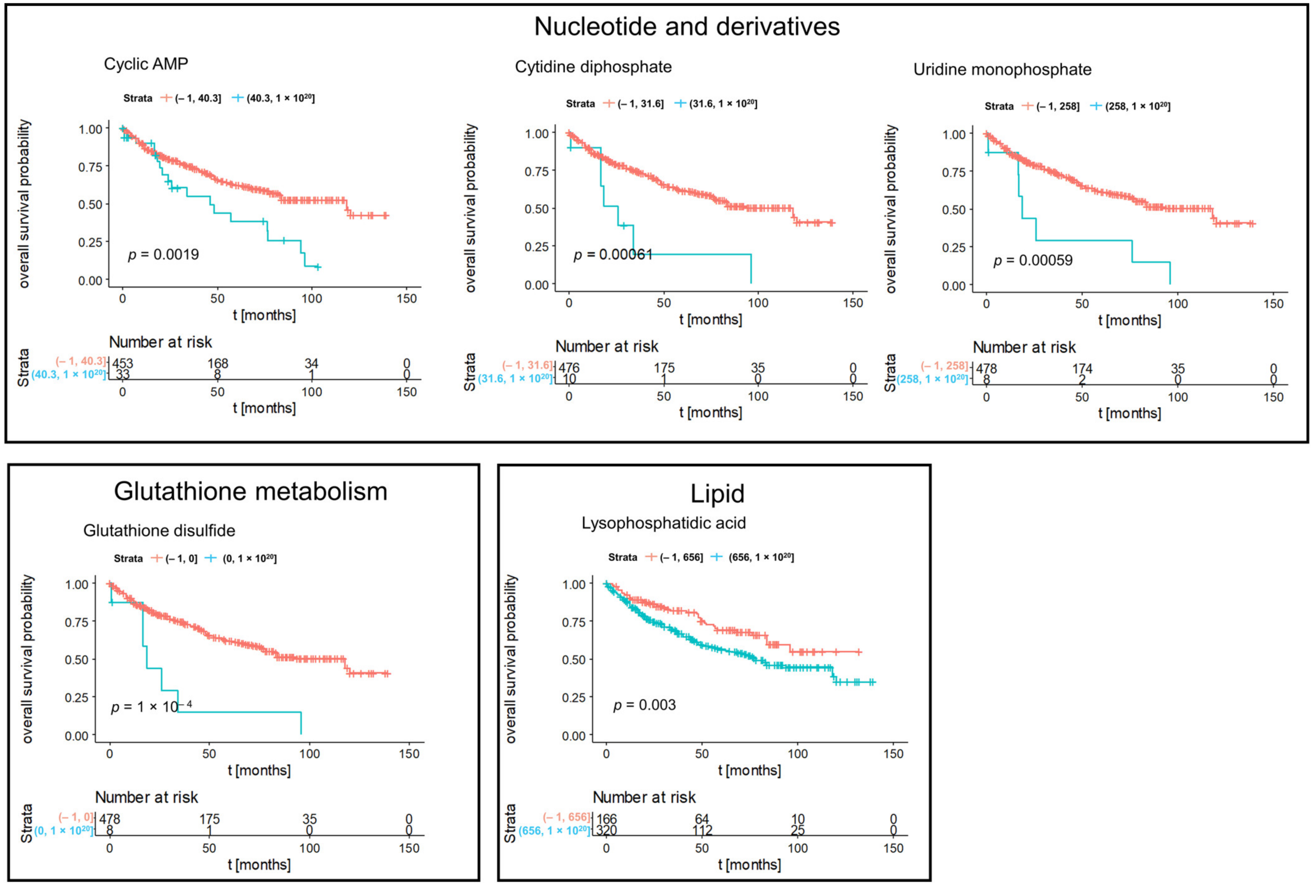 Cancers 14 01763 g006