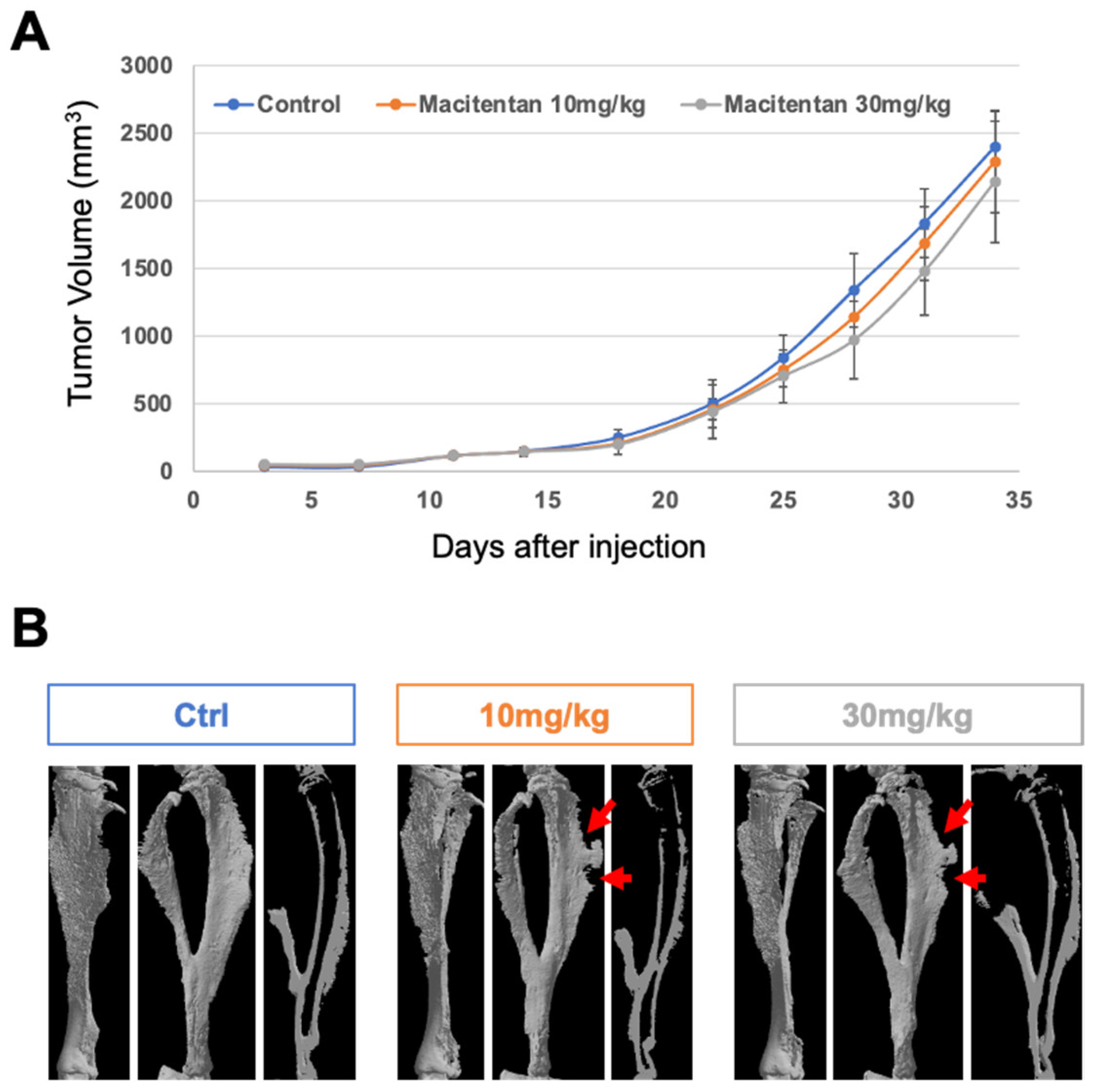 Cancers 14 01765 g002