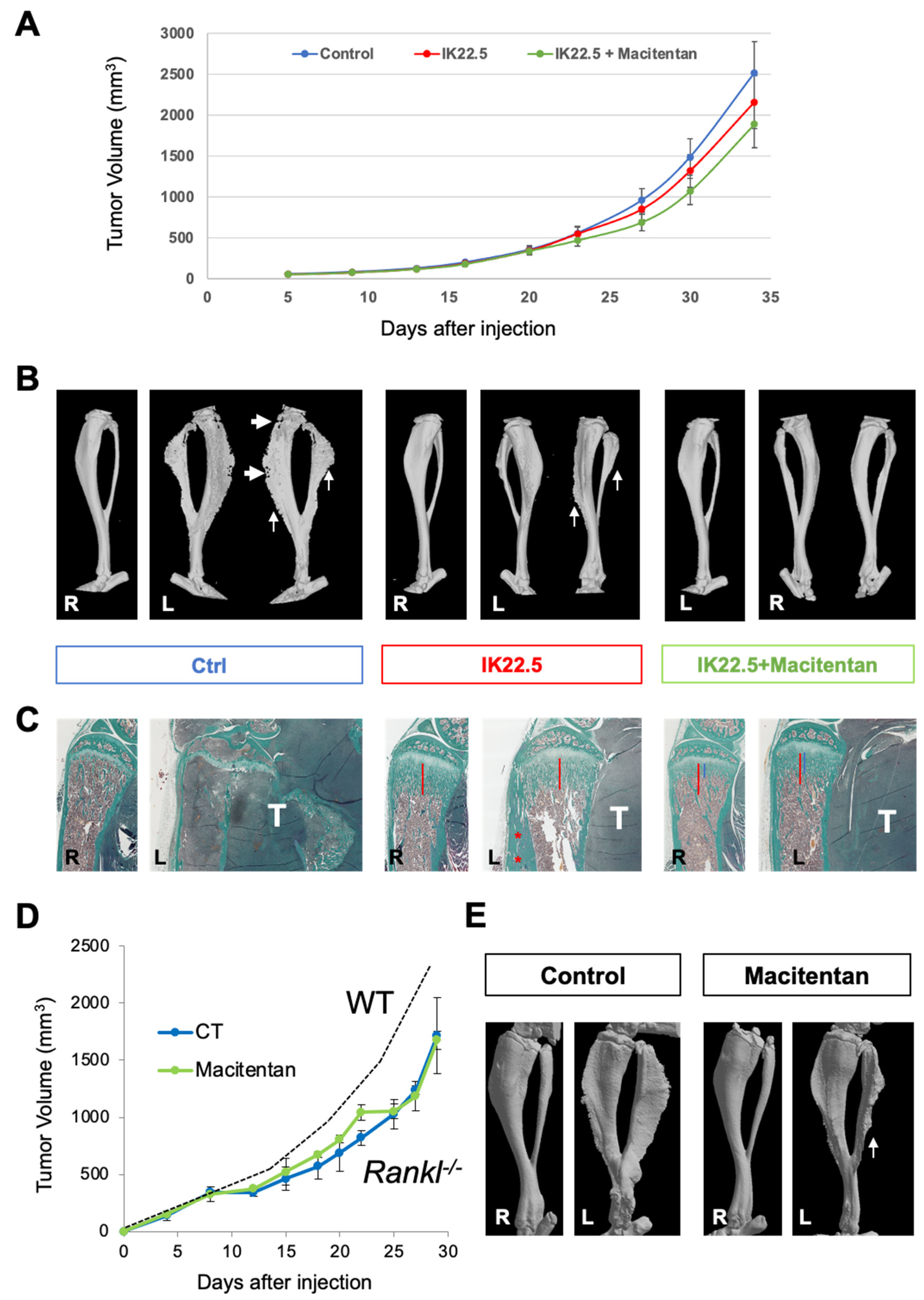 Cancers 14 01765 g003