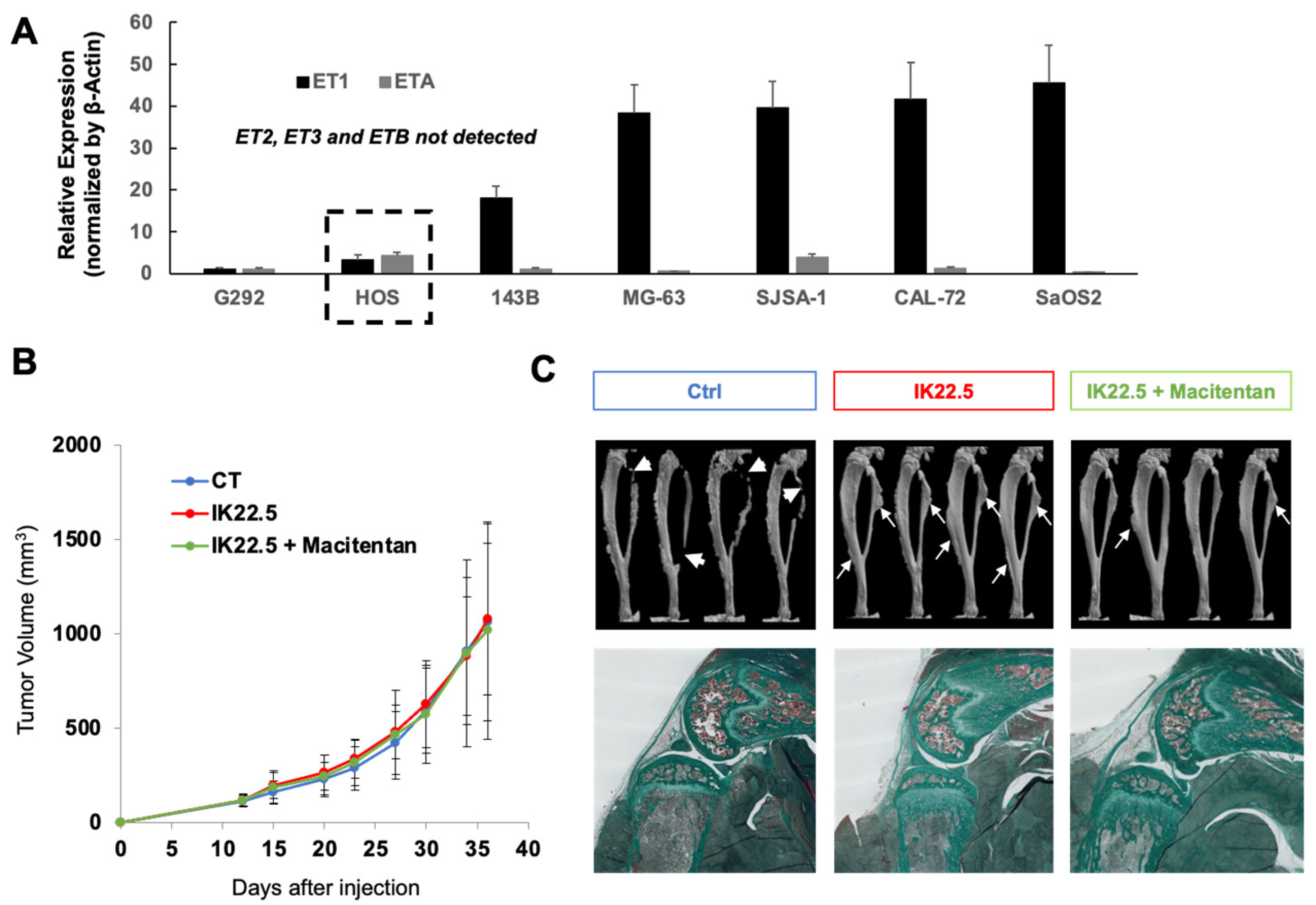 Cancers 14 01765 g004