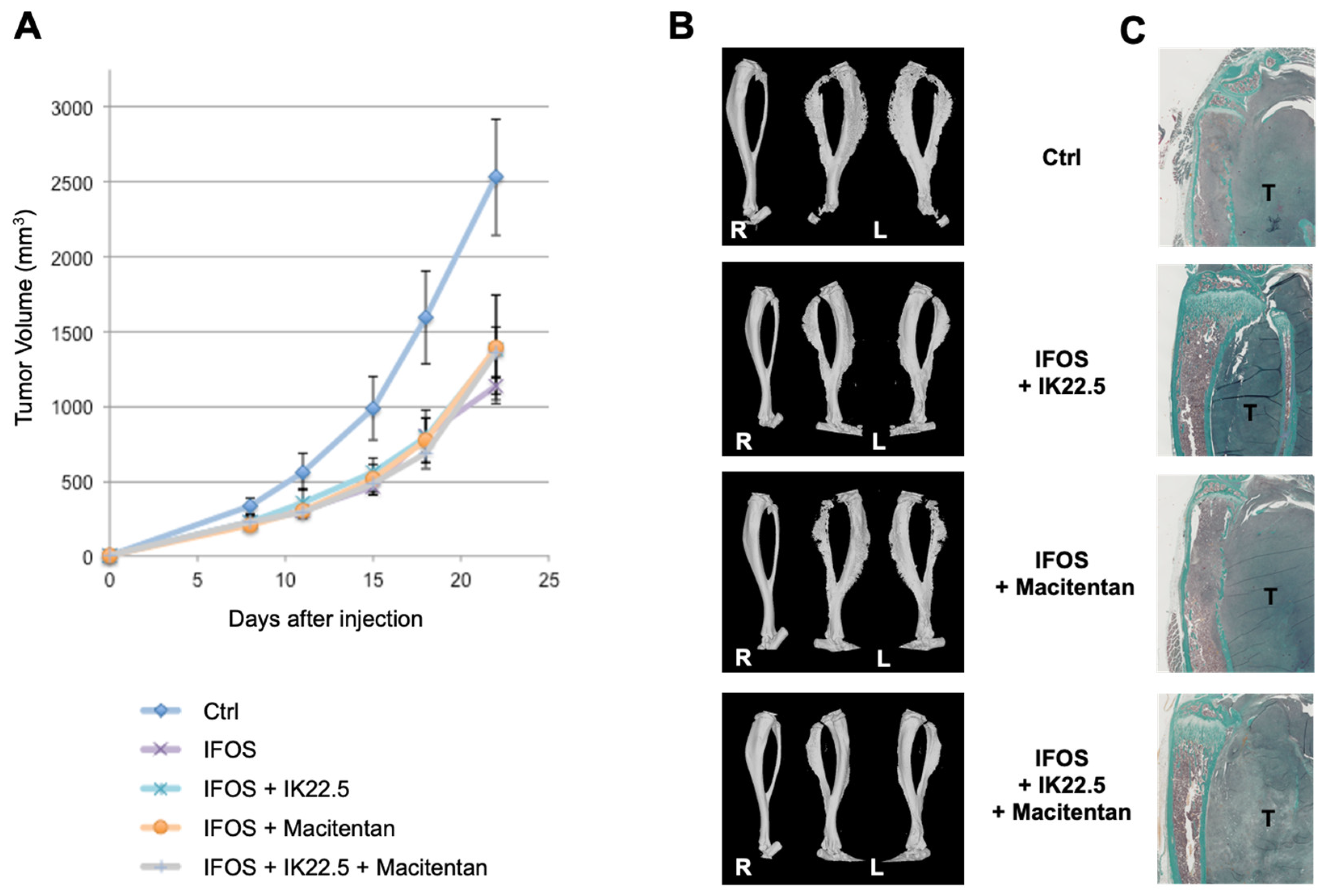 Cancers 14 01765 g005