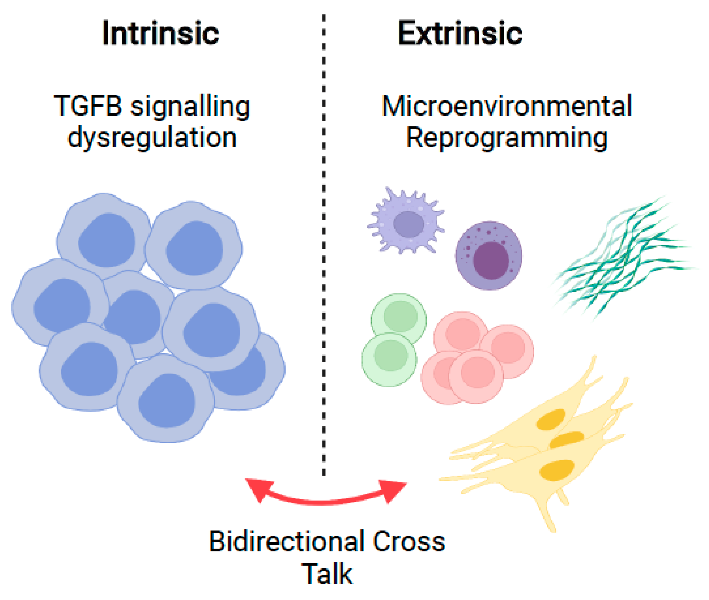 Cancers 14 01772 g001
