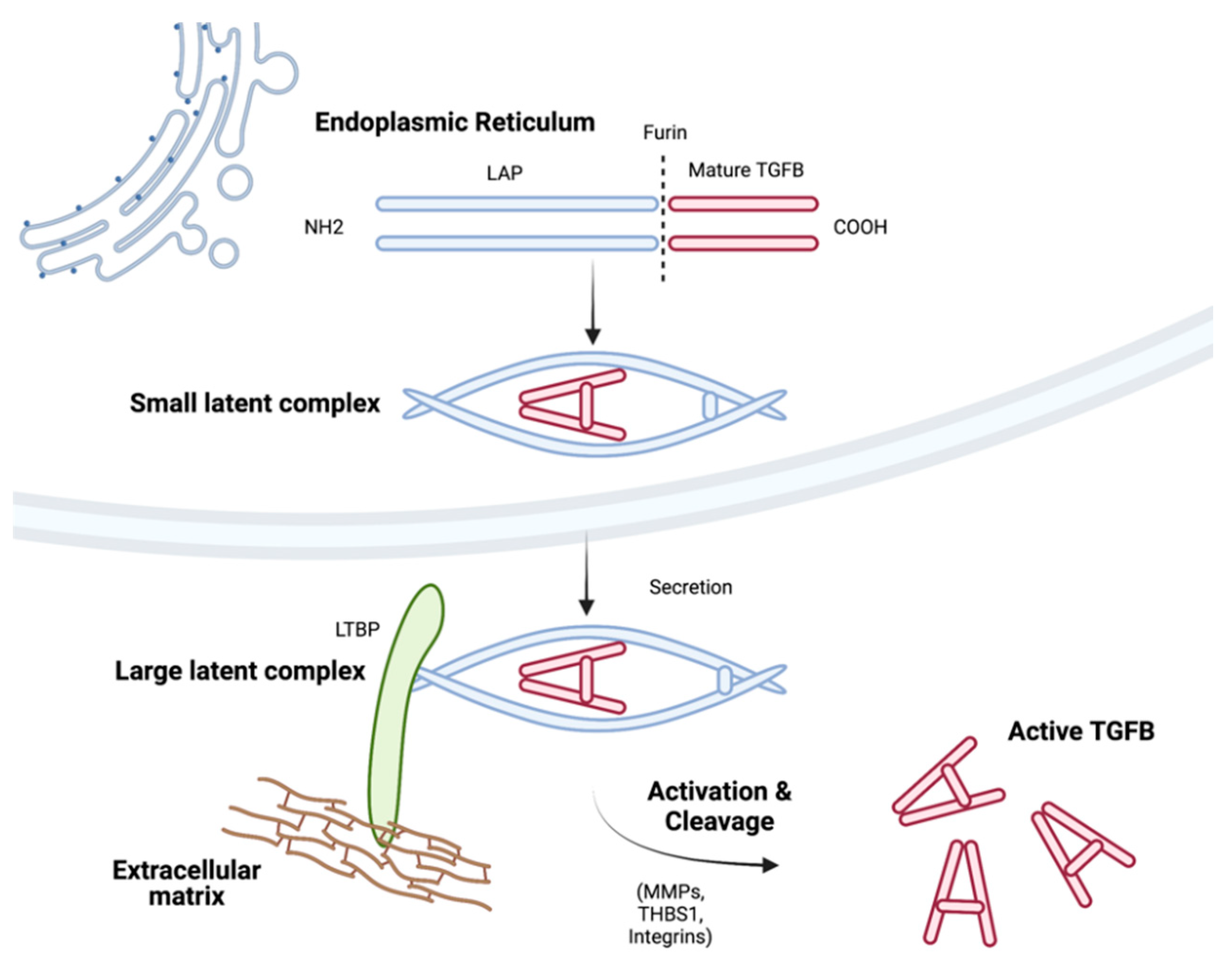 Cancers 14 01772 g002