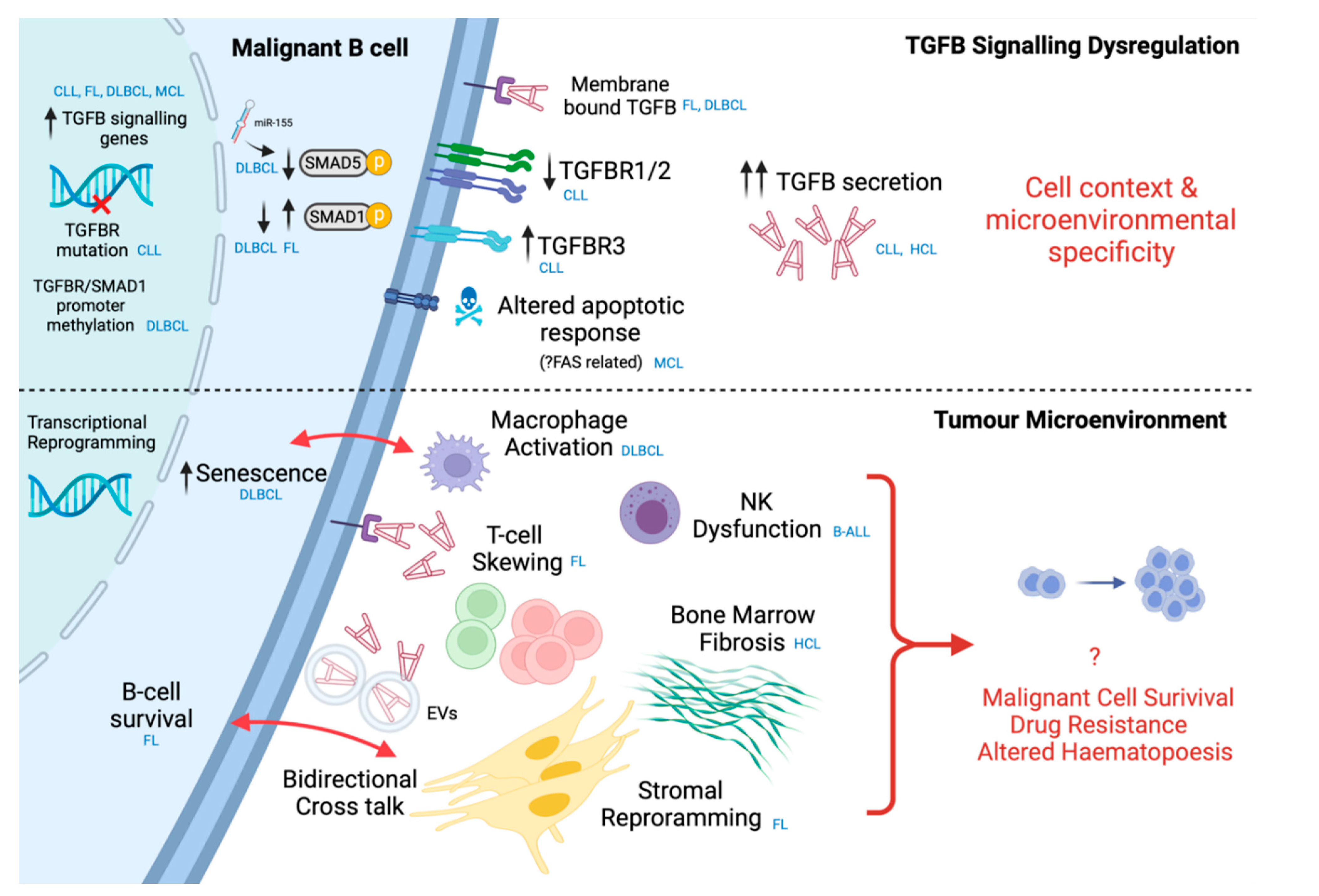 Cancers 14 01772 g004