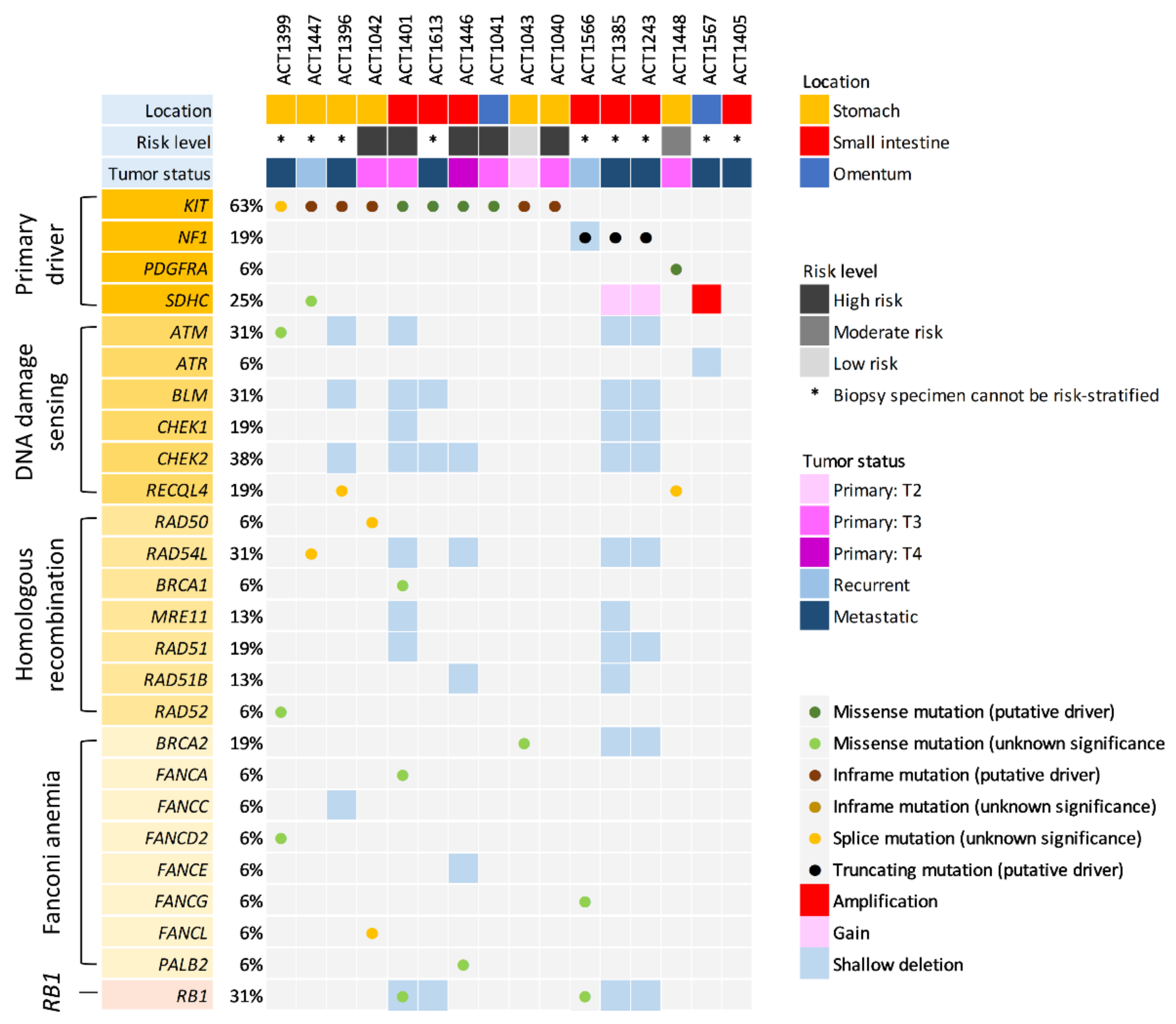 Cancers 14 01787 g001 Cancers 14 01787 g001