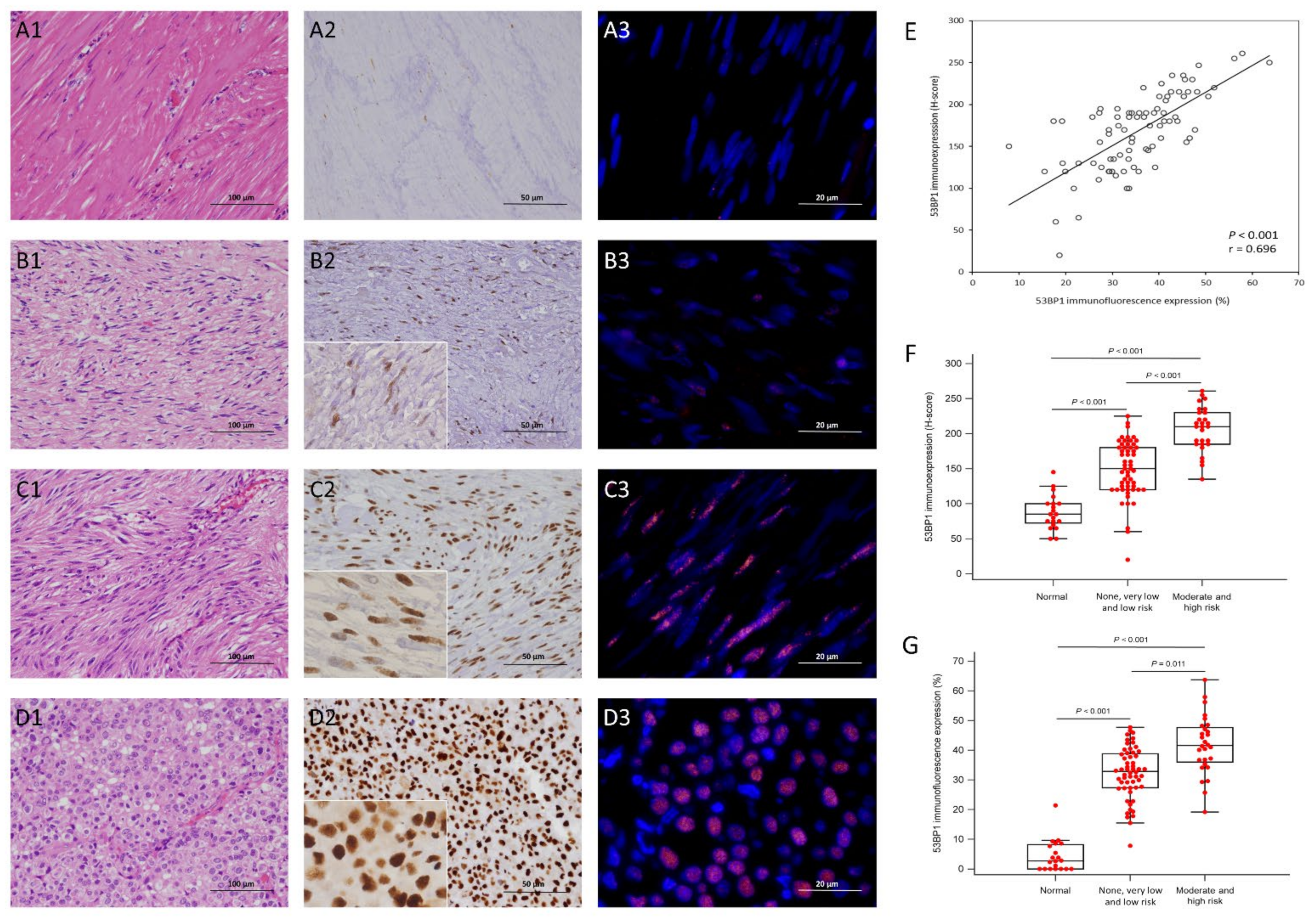Cancers 14 01787 g003 Cancers 14 01787 g003
