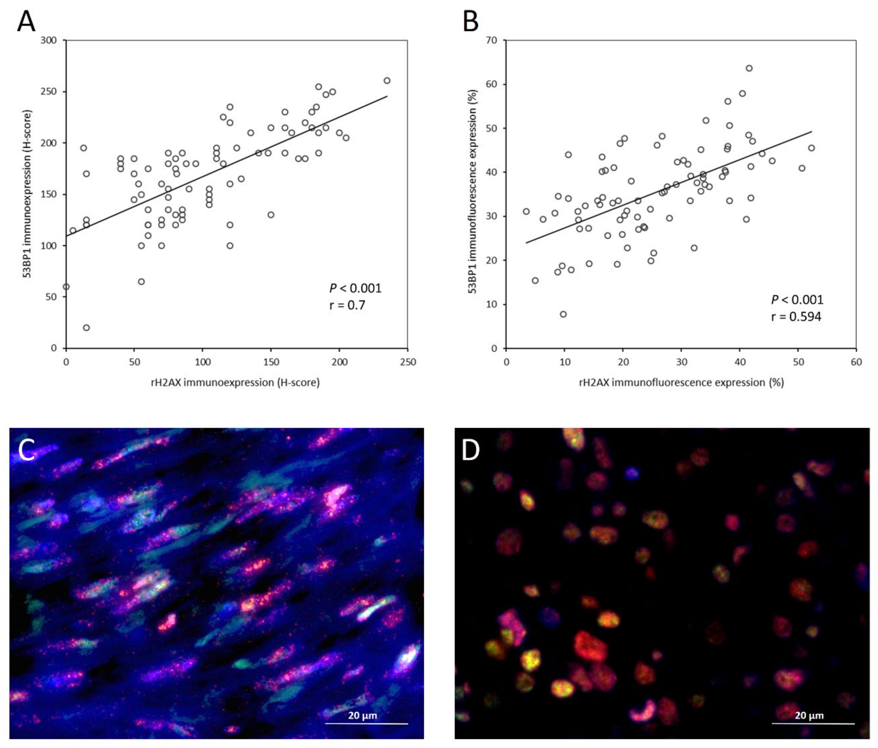 Cancers 14 01787 g004 Cancers 14 01787 g004