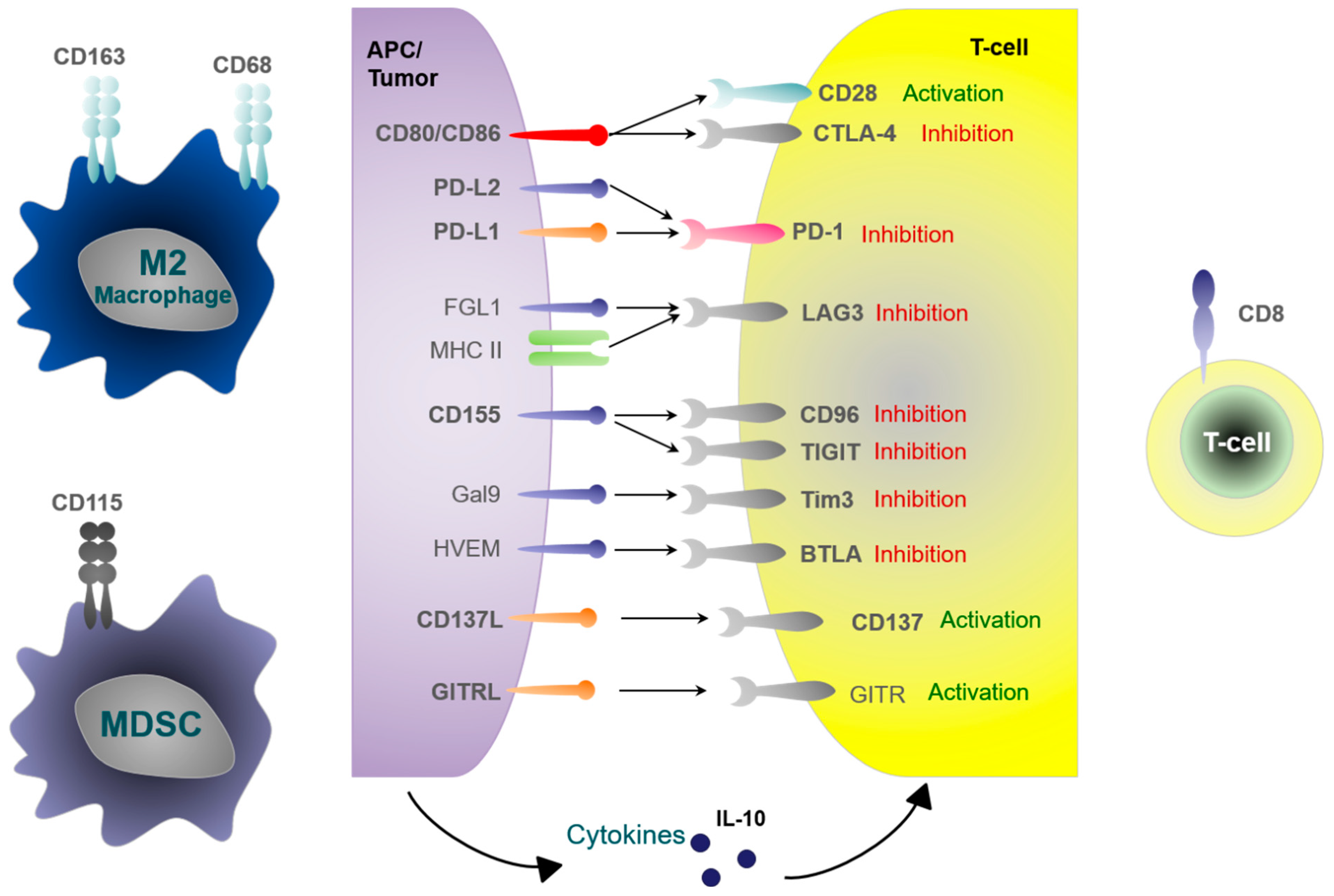 Cancers 14 01812 g001