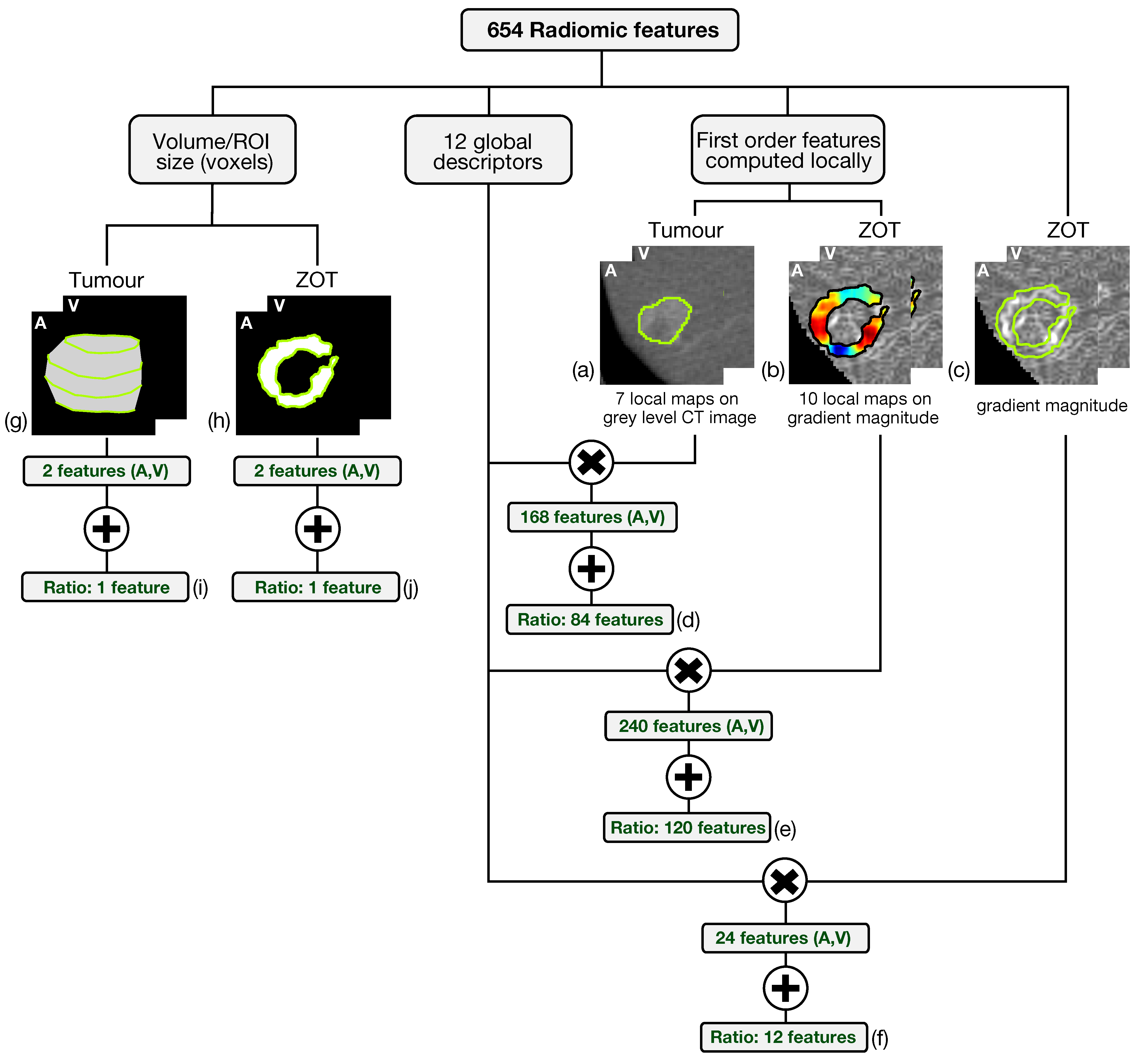 Cancers 14 01816 g004