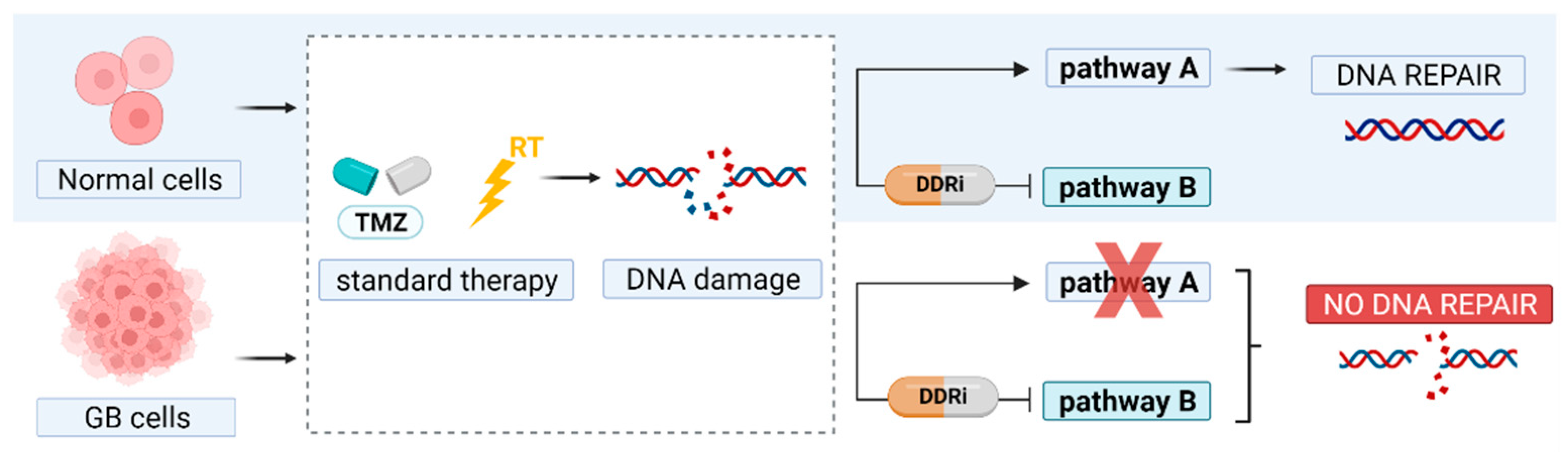 Cancers 14 01821 g001