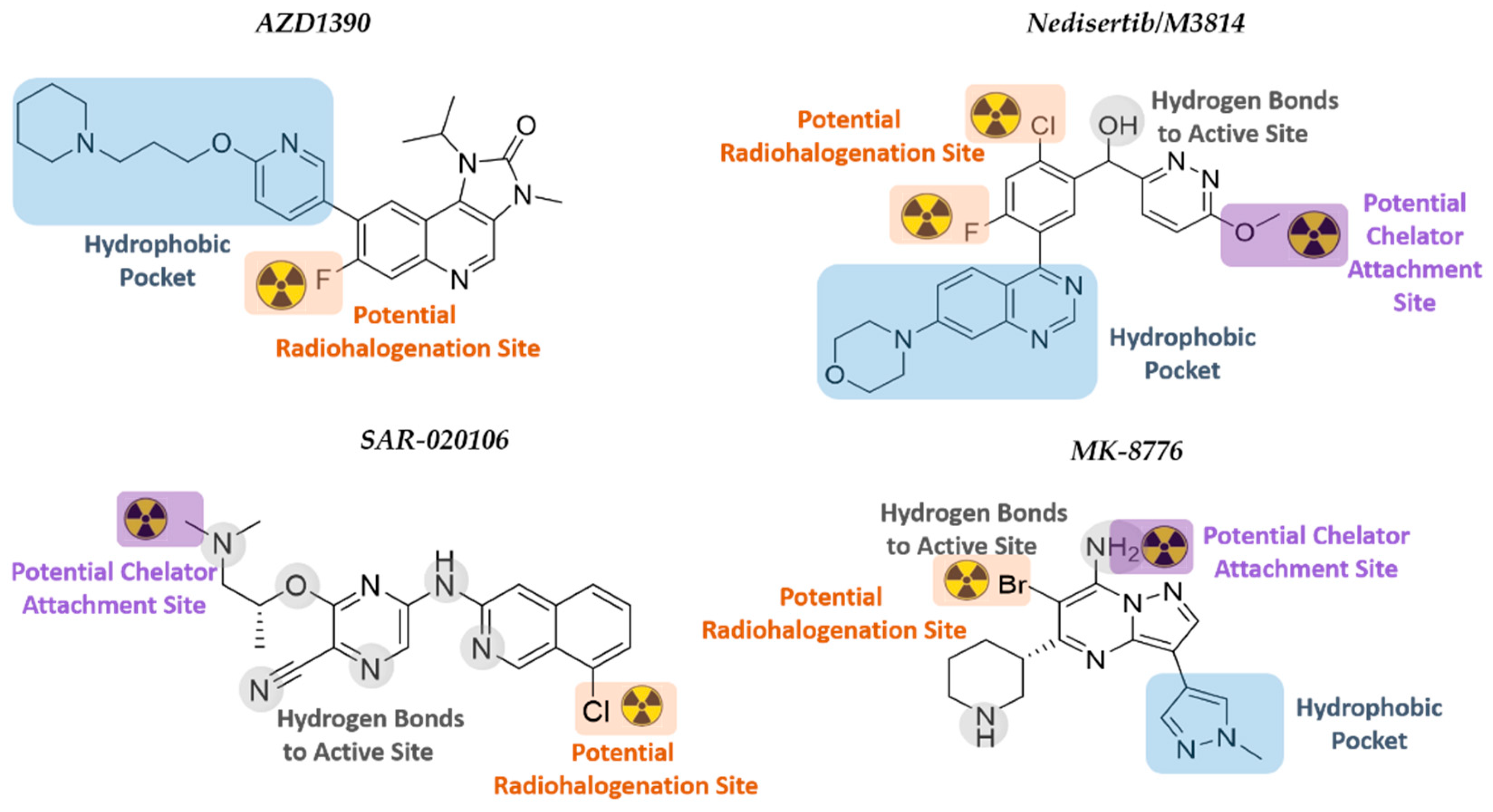 Cancers 14 01821 g006