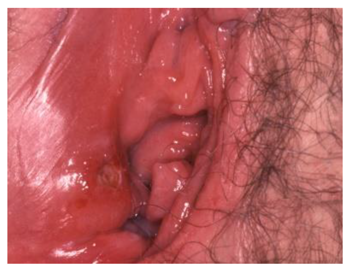 Cancers 14 01822 g019