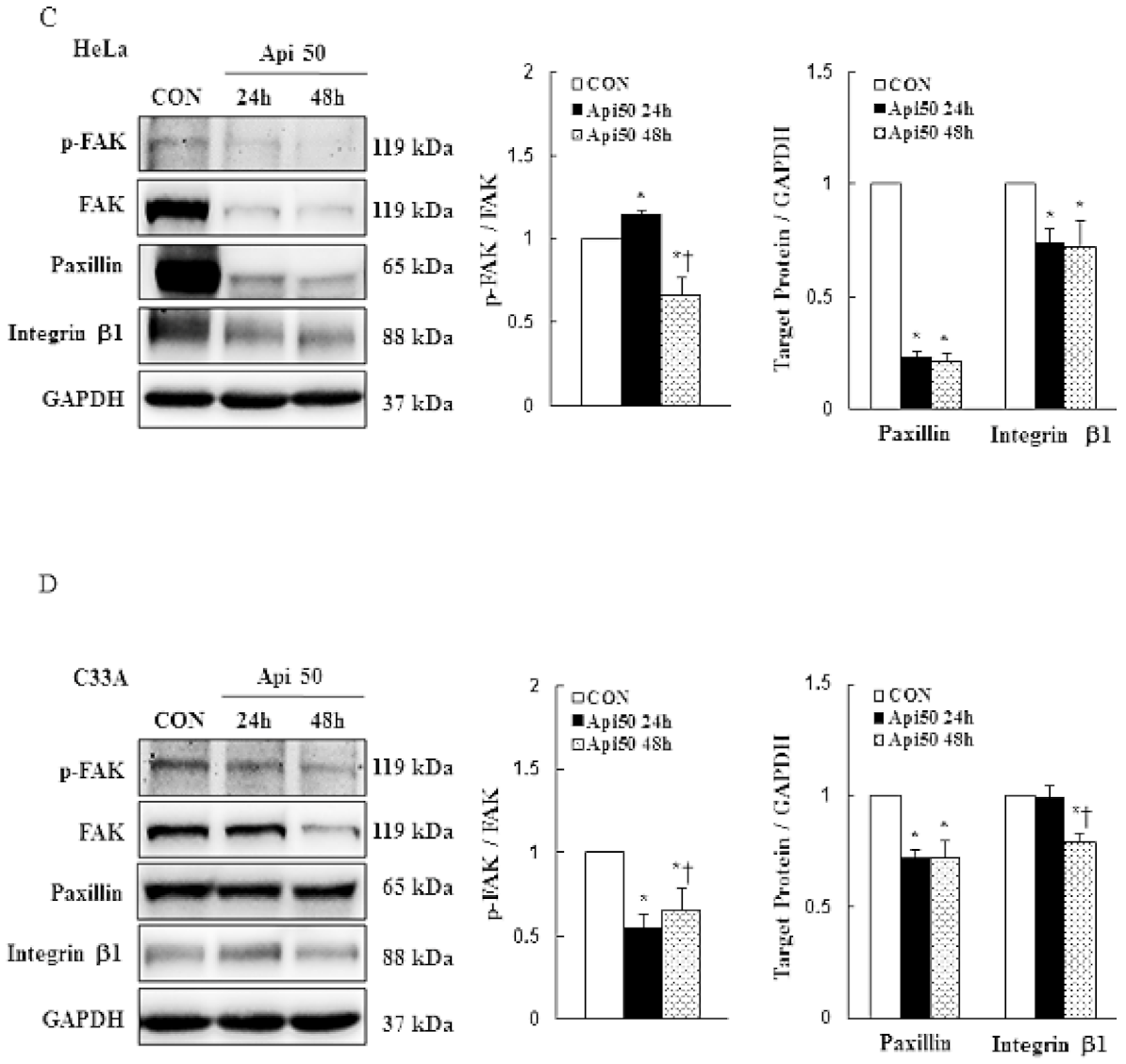 Cancers 14 01824 g004b