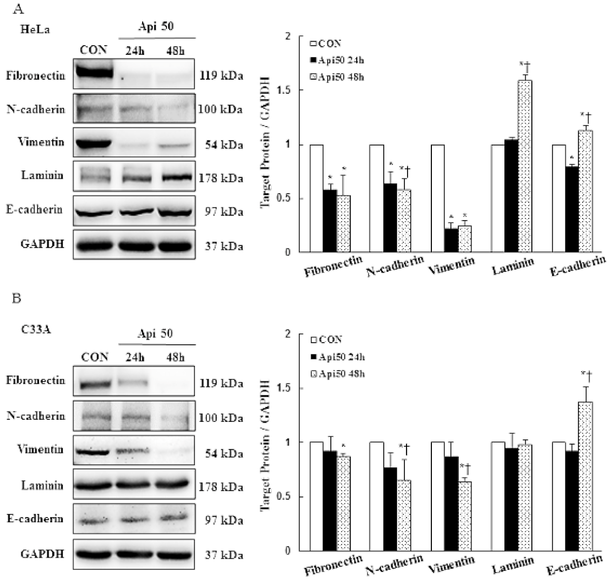 Cancers 14 01824 g005