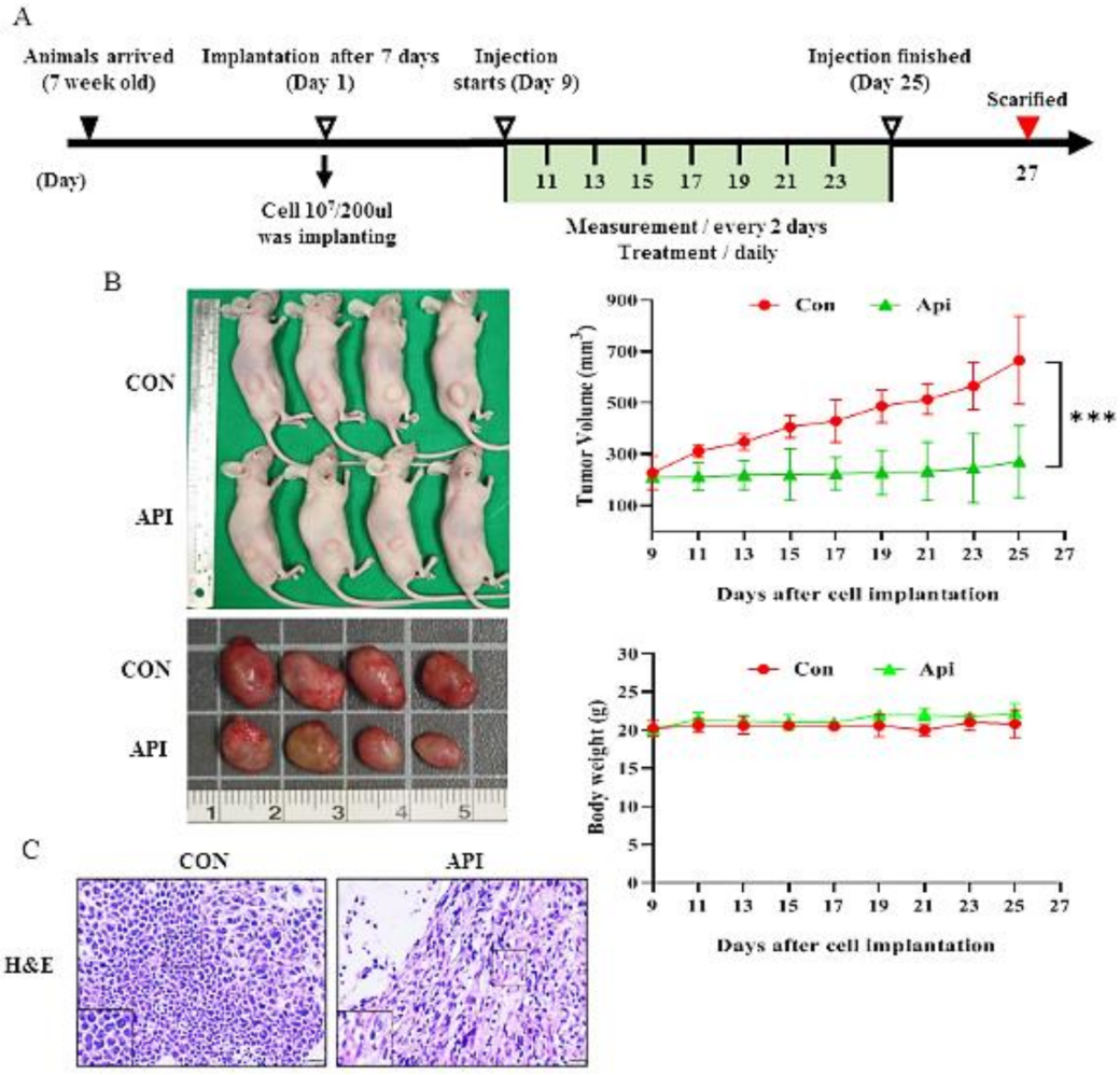 Cancers 14 01824 g006a
