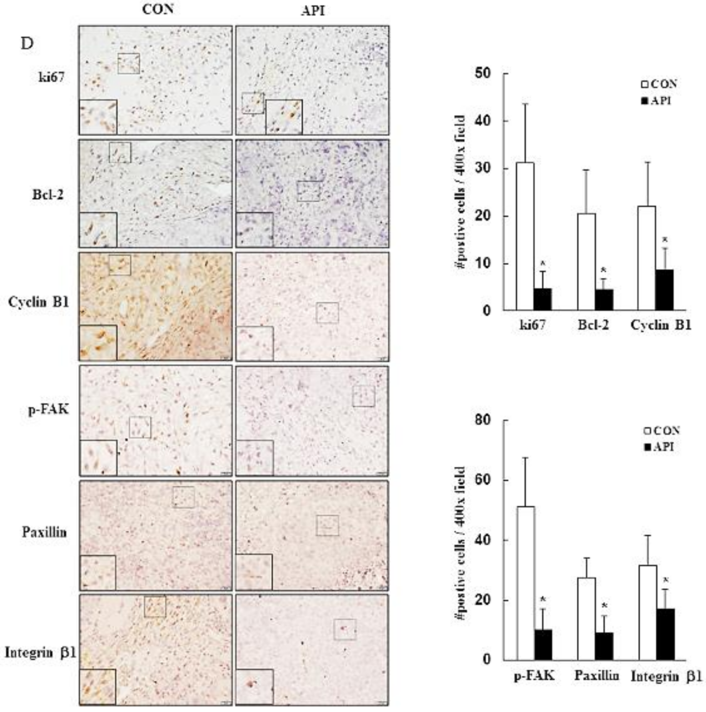 Cancers 14 01824 g006b