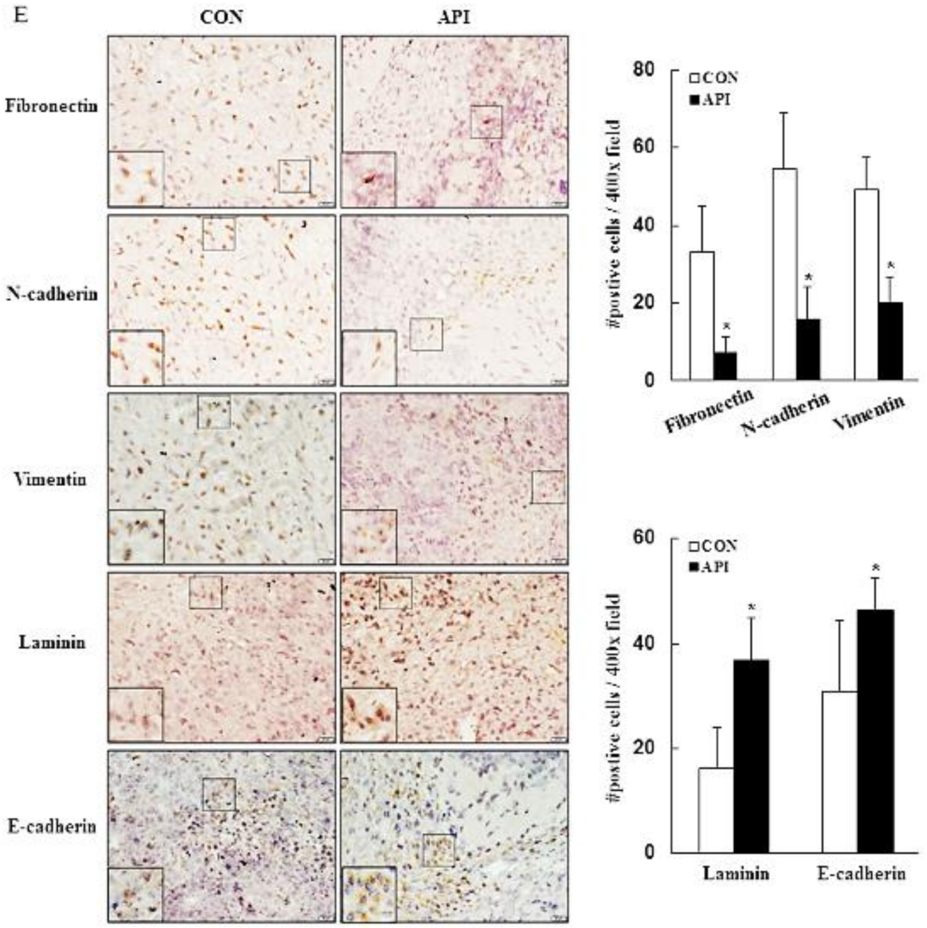 Cancers 14 01824 g006c