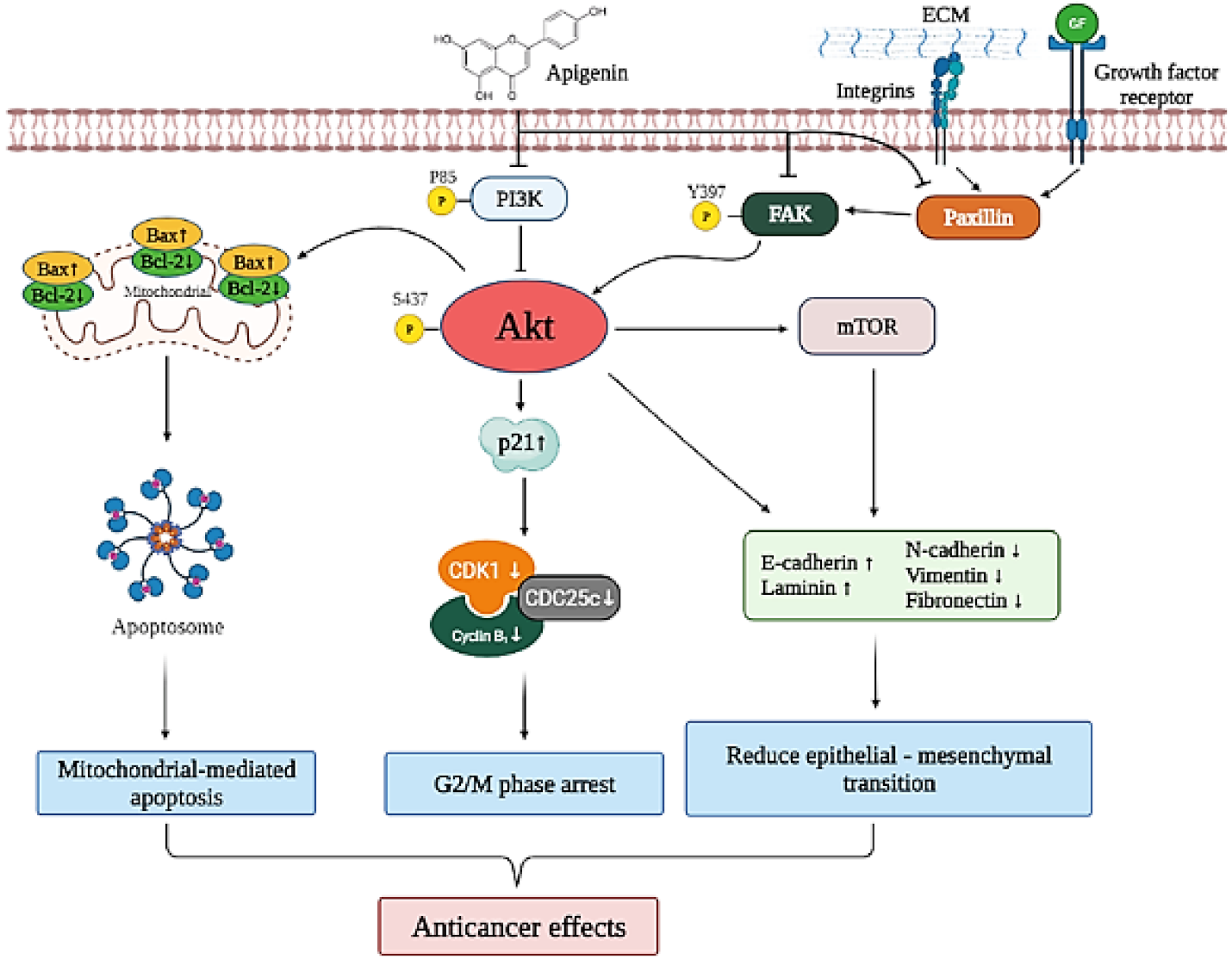Cancers 14 01824 g007