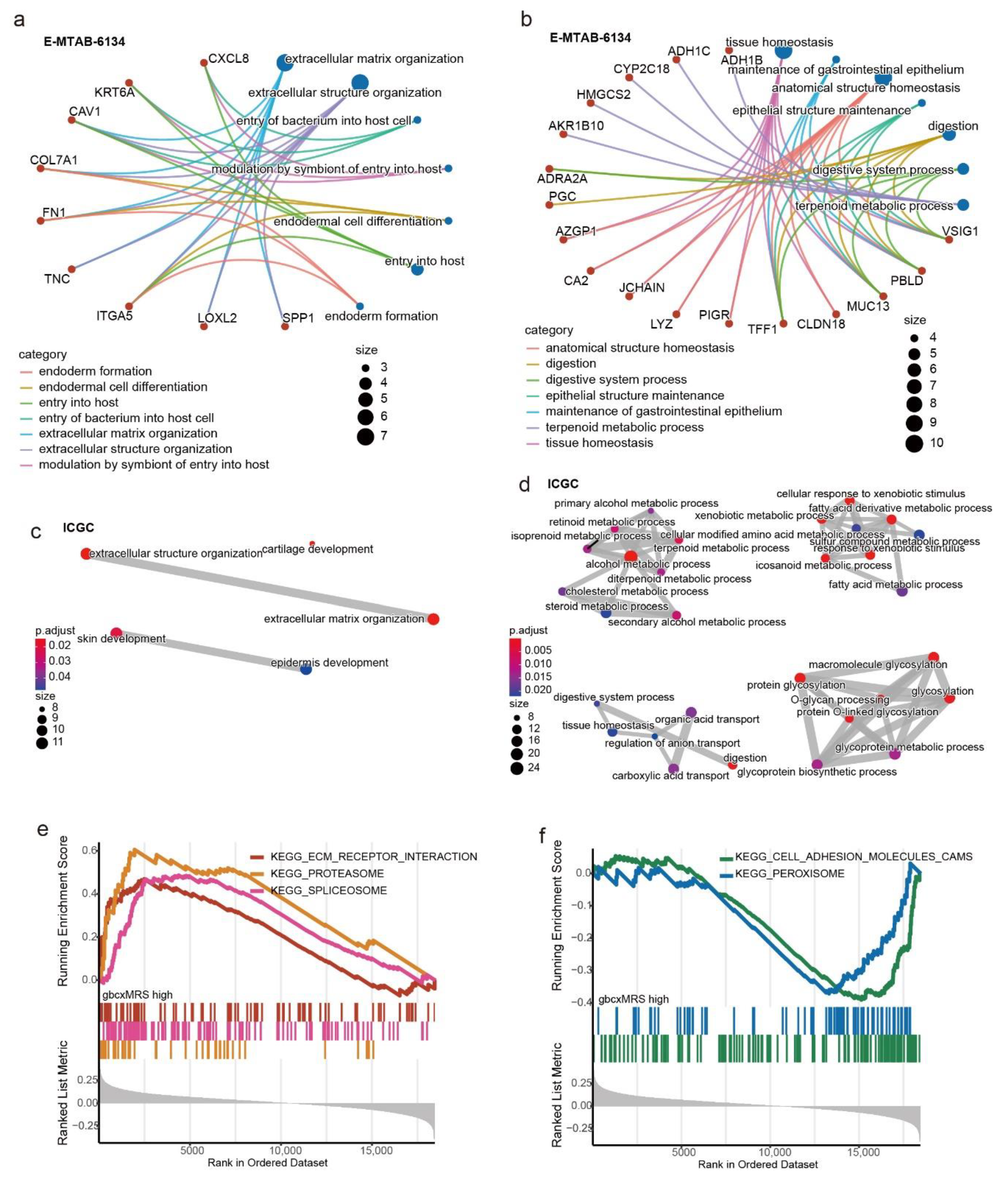 Cancers 14 01825 g006