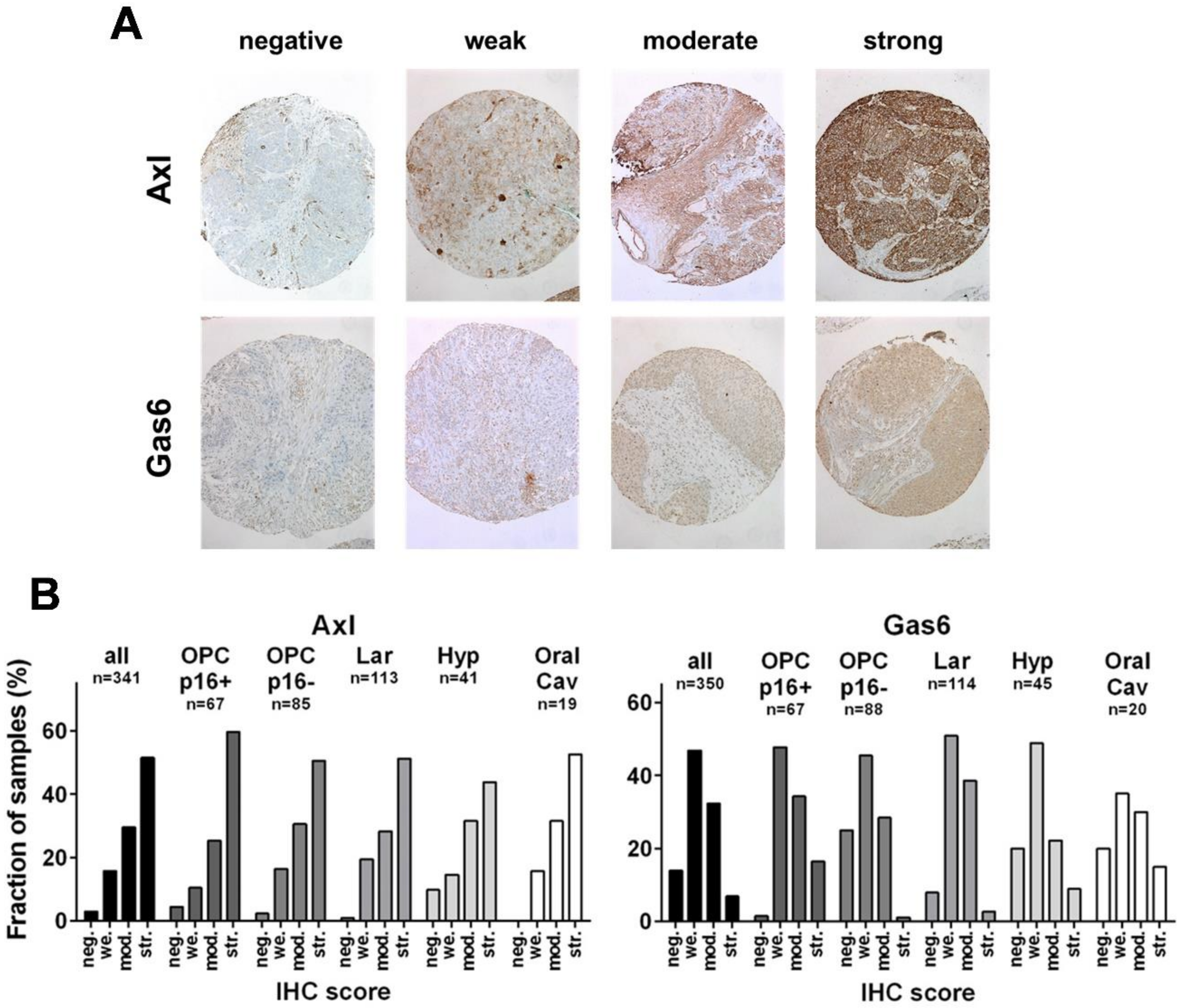 Cancers 14 01829 g001