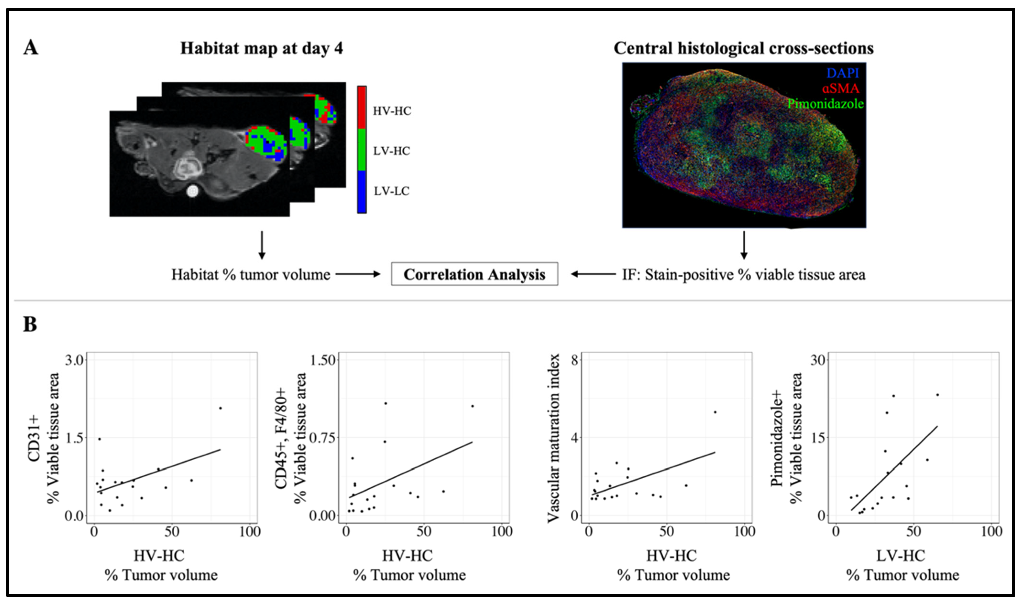 Cancers 14 01837 g007 Cancers 14 01837 g007