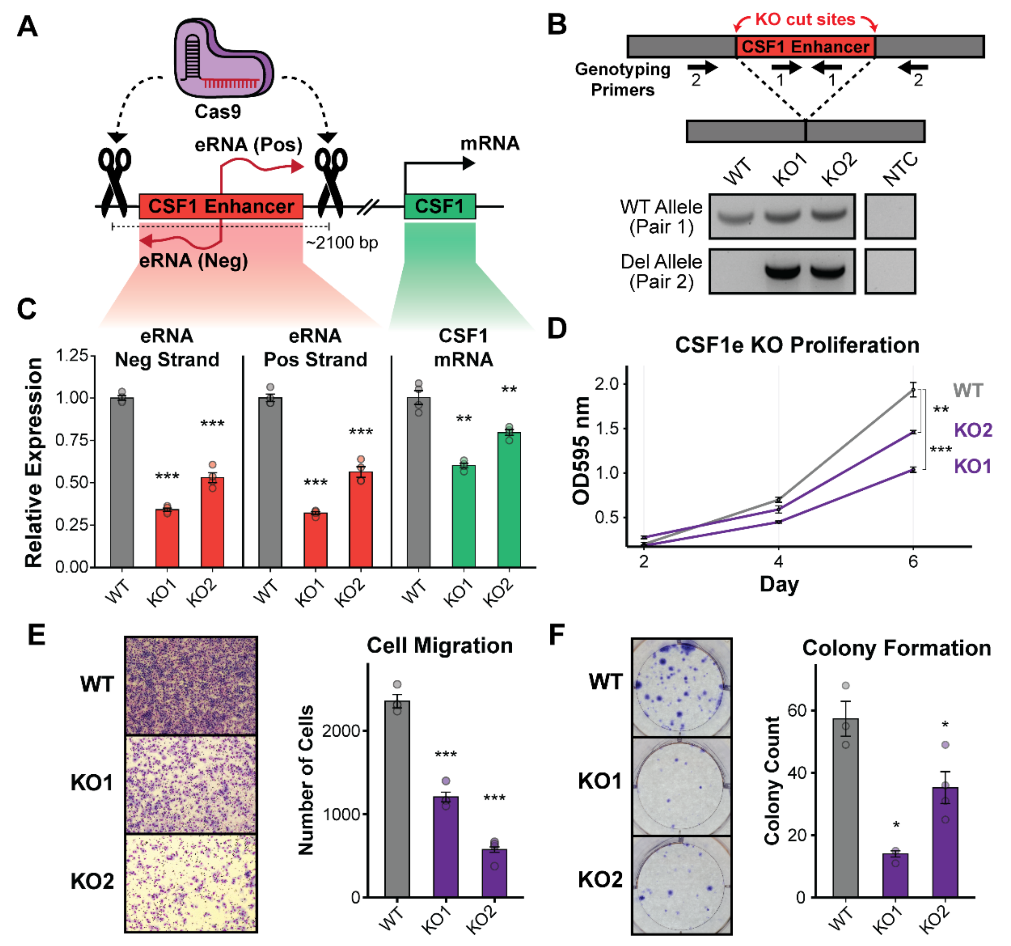 Cancers 14 01852 g002