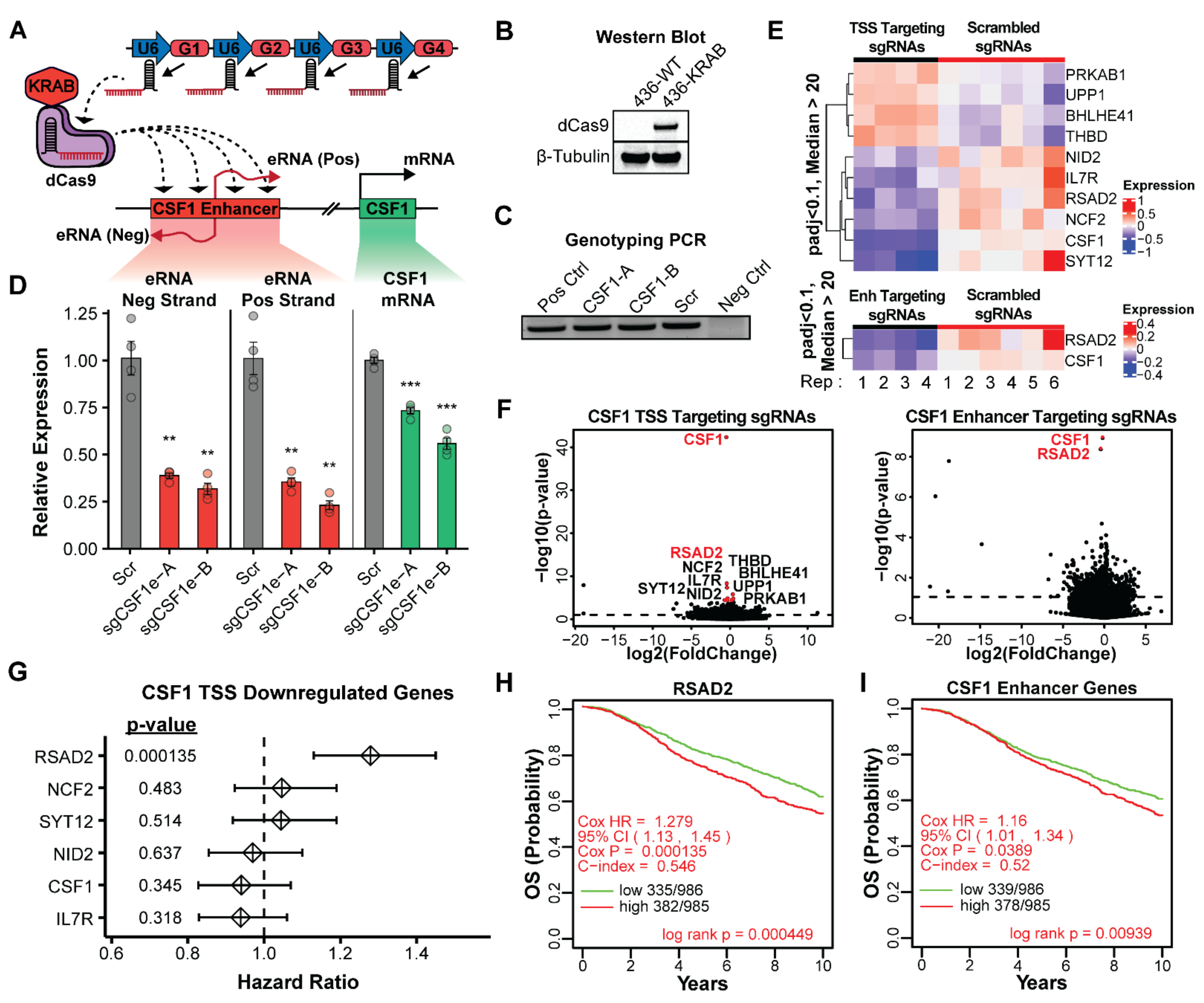 Cancers 14 01852 g003