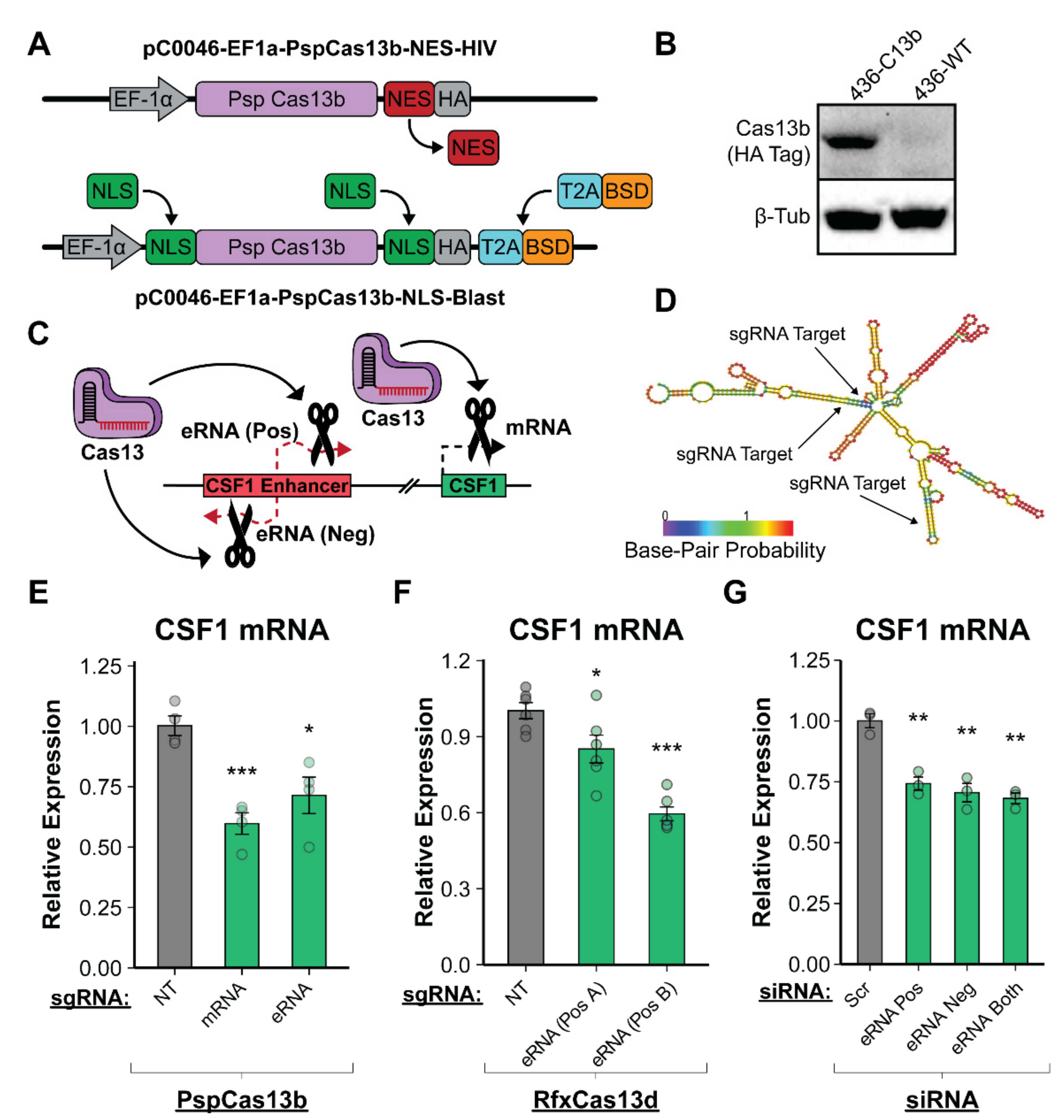 Cancers 14 01852 g004