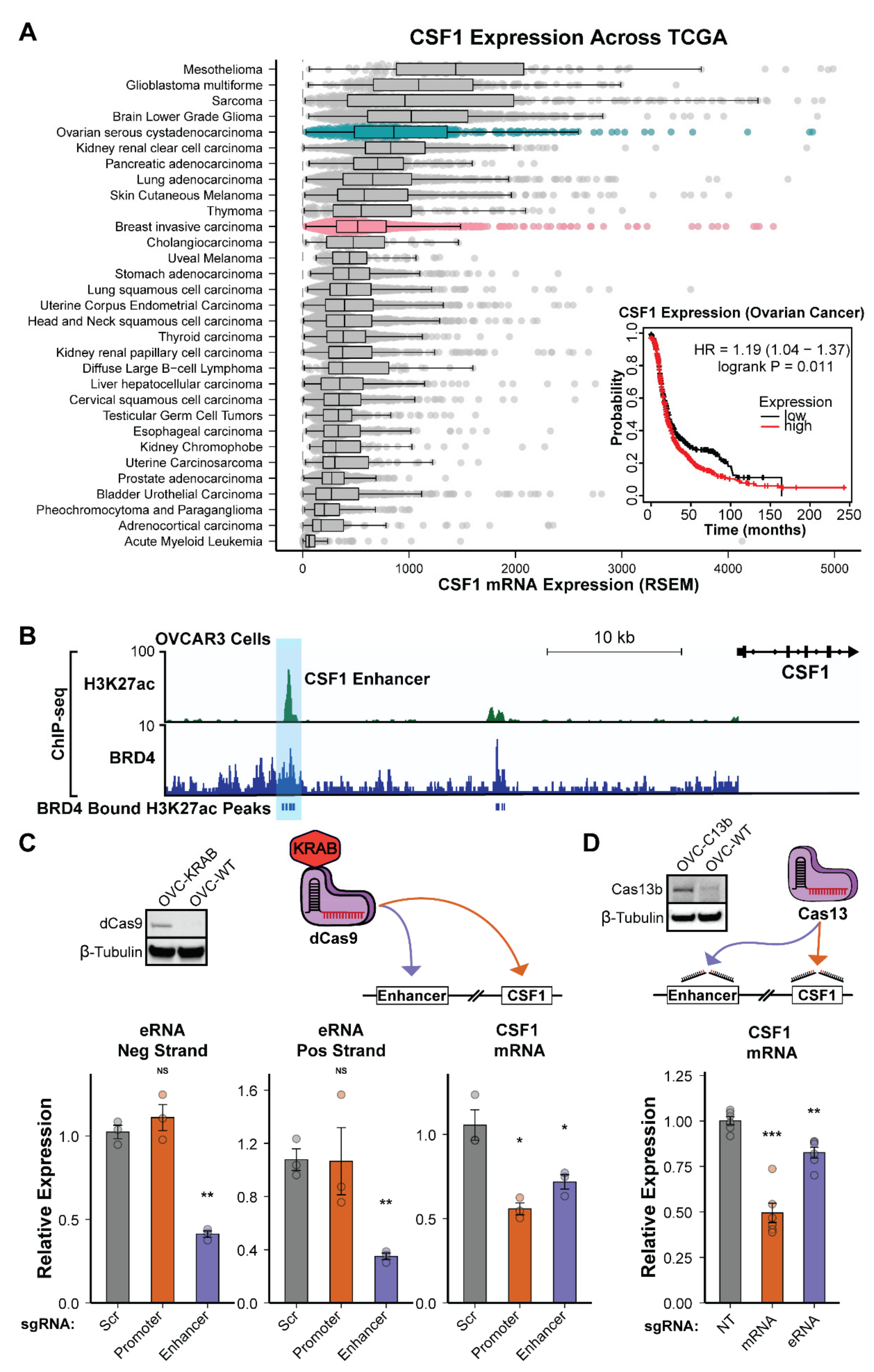 Cancers 14 01852 g005