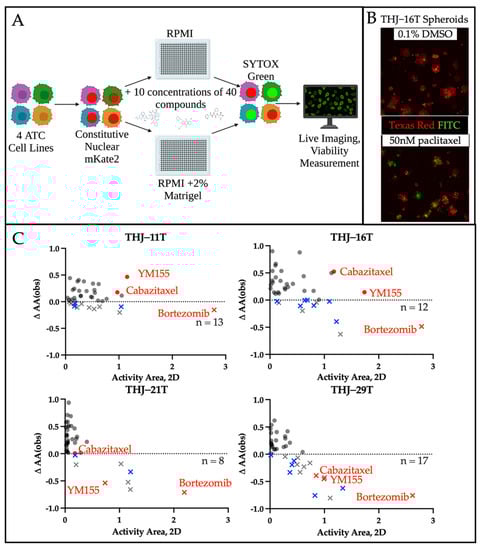 Cancers 14 01855 g004