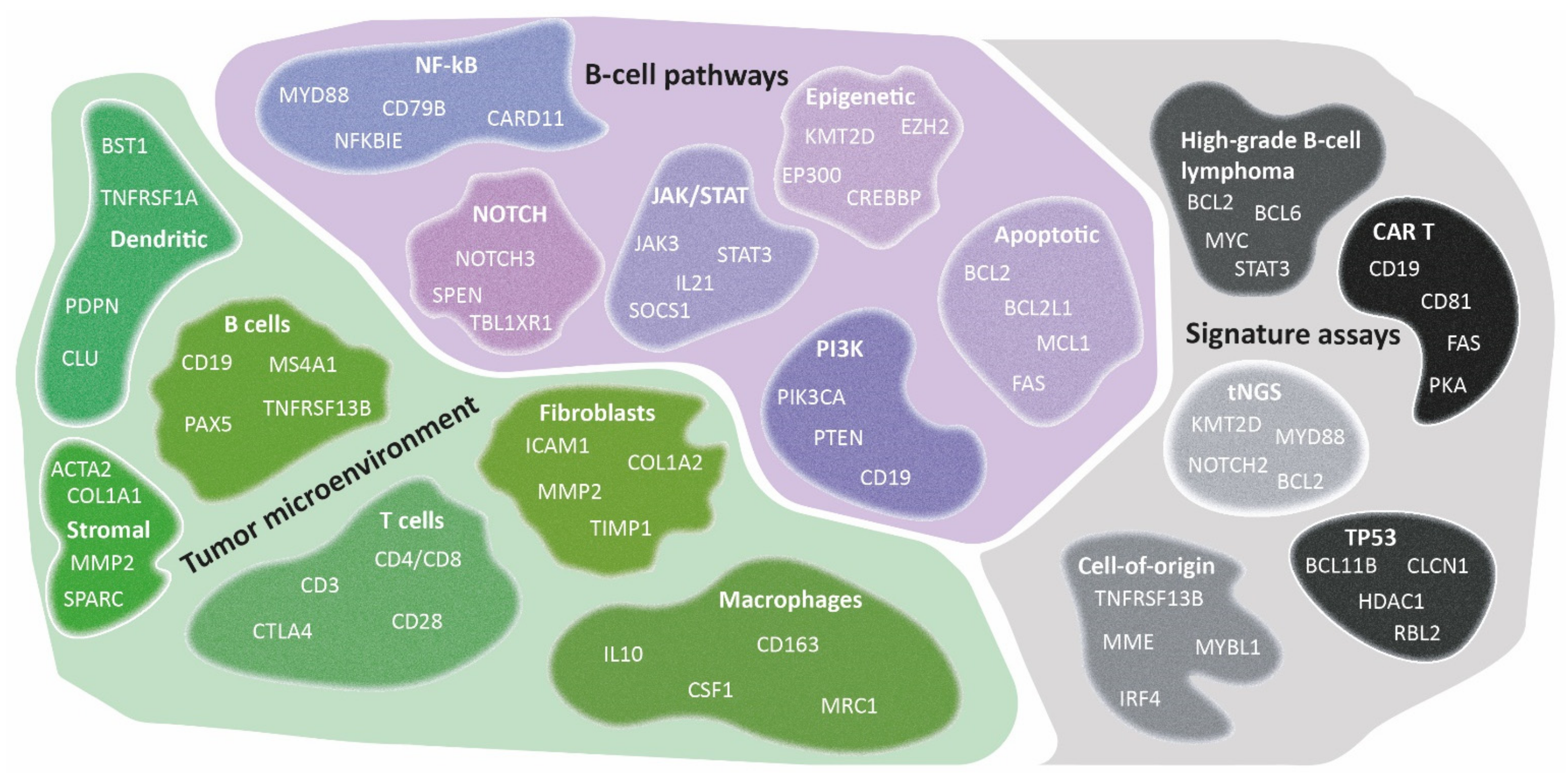 Cancers 14 01857 g003